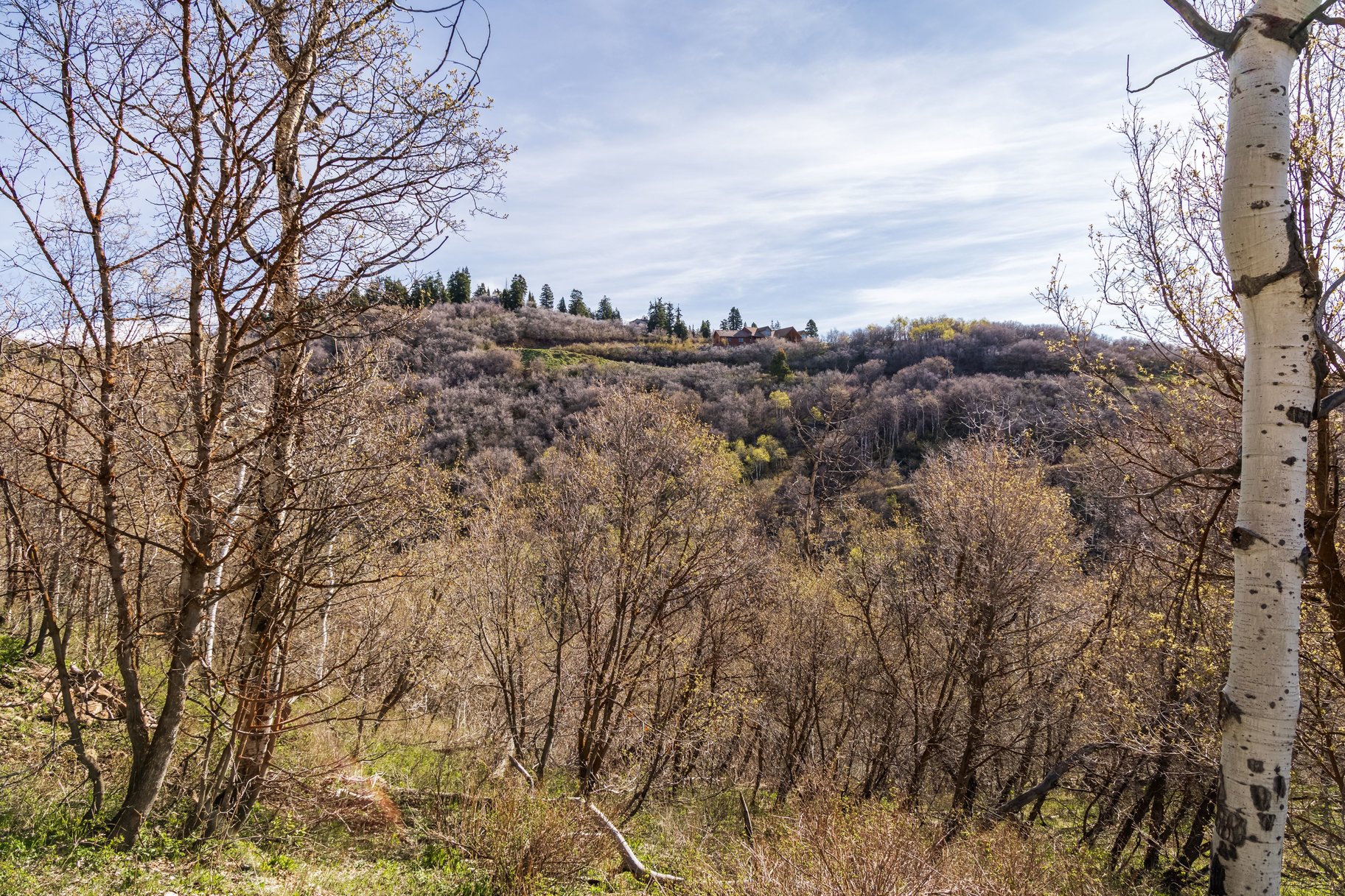  Private 10-Acre Mountain Sanctuary in Park City with Ski Run Views - 物件實景