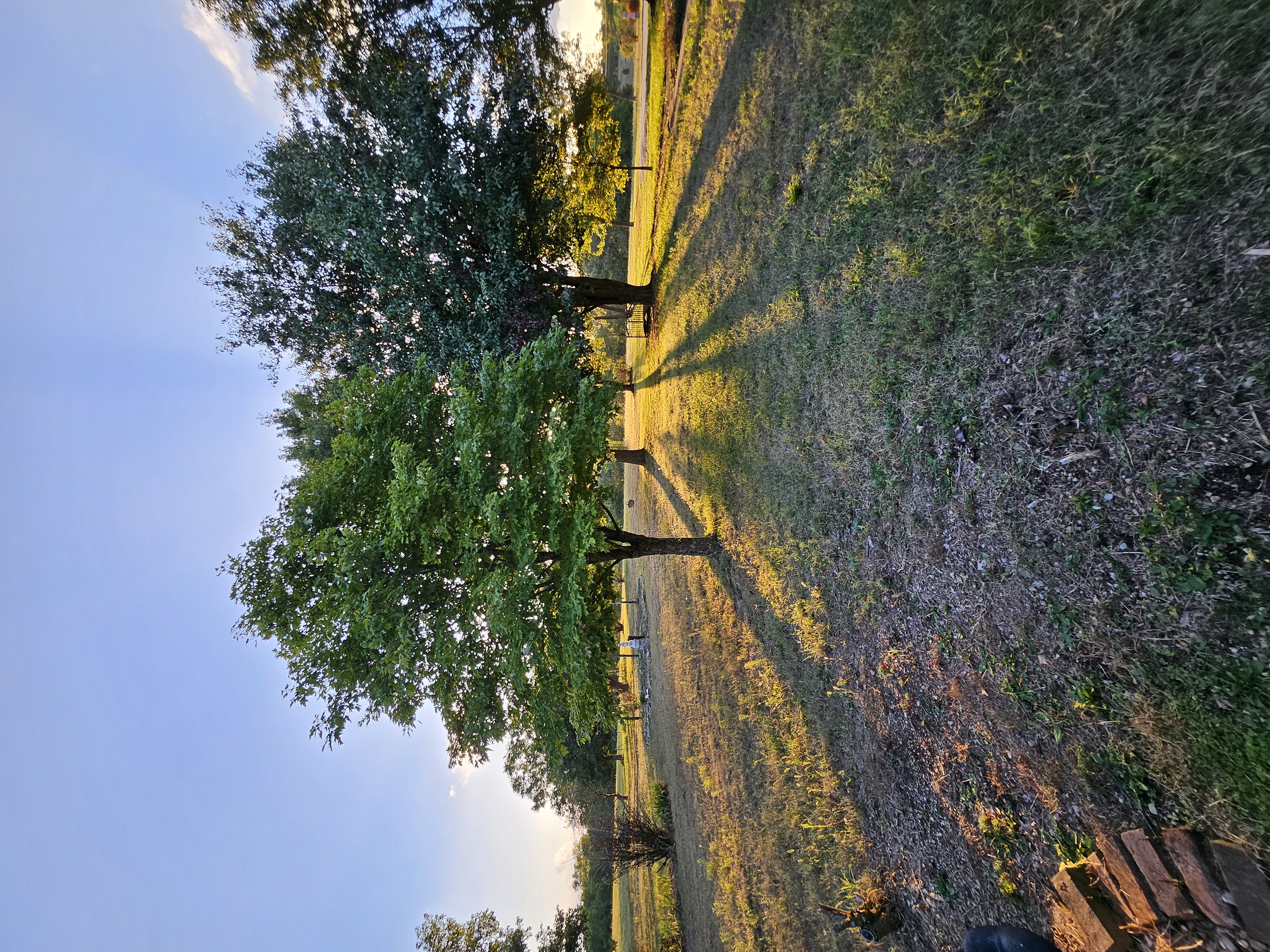 Pierce City, Missouri, 65723, United States, 5 Bedrooms Bedrooms, ,3 BathroomsBathrooms,Residential,For Sale,1984282