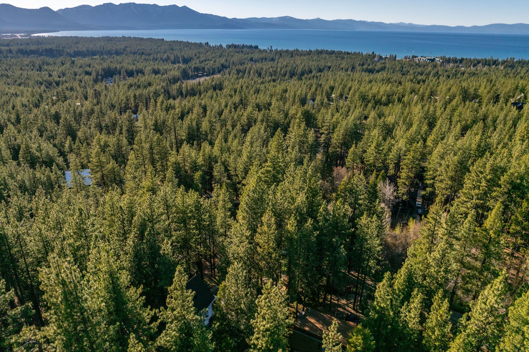  Turnkey Tahoe Retreat Backing to National Forest  Fully Remodeled & Furnish - 物件實景