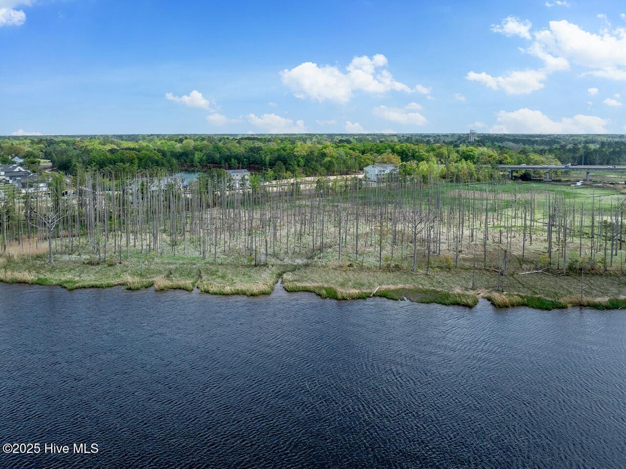 Castle Hayne, North Carolina, 28429, United States, 4 Bedrooms Bedrooms, ,5 BathroomsBathrooms,Residential,For Sale,1847333