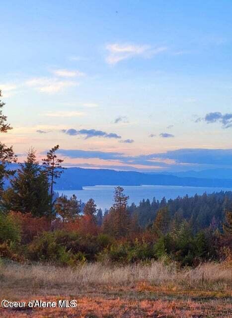 Harrison, Idaho, 83833, United States, ,Land,For Sale,2024065