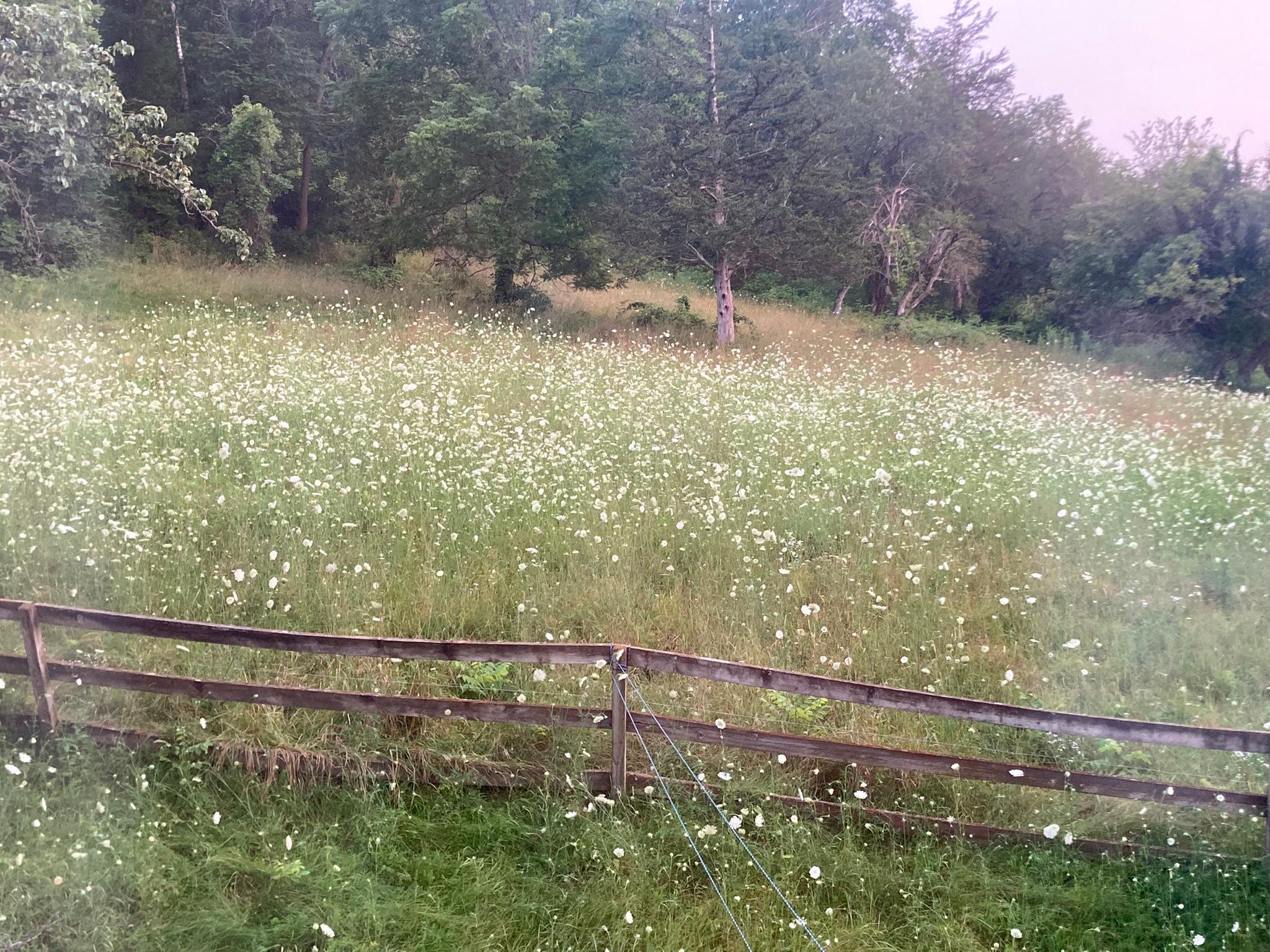 Winona, Minnesota, 55987, United States, 5 Bedrooms Bedrooms, ,2 BathroomsBathrooms,Residential,For Sale,2005788