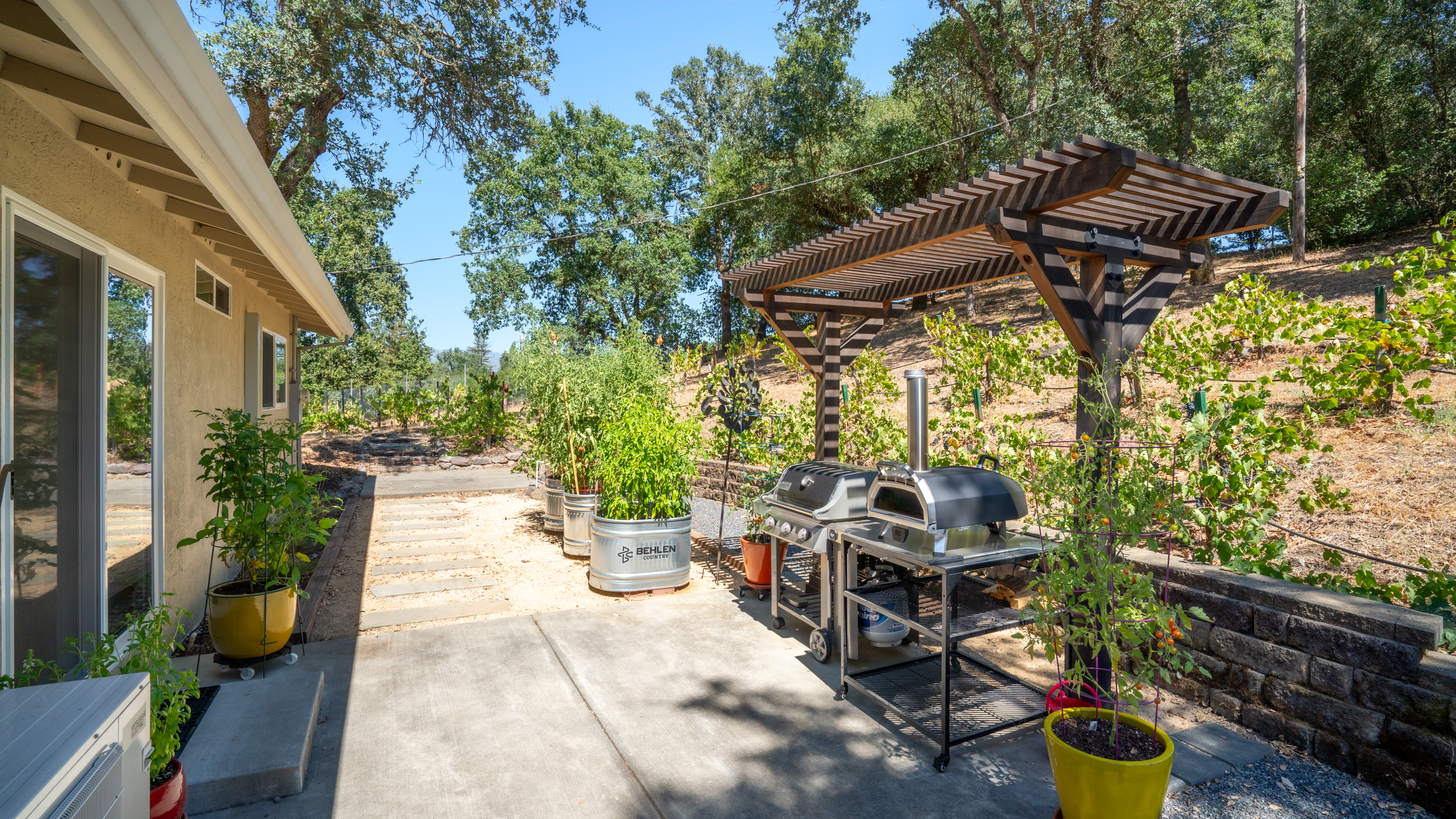  Rare Opportunity in Alexander Valley - 物件實景