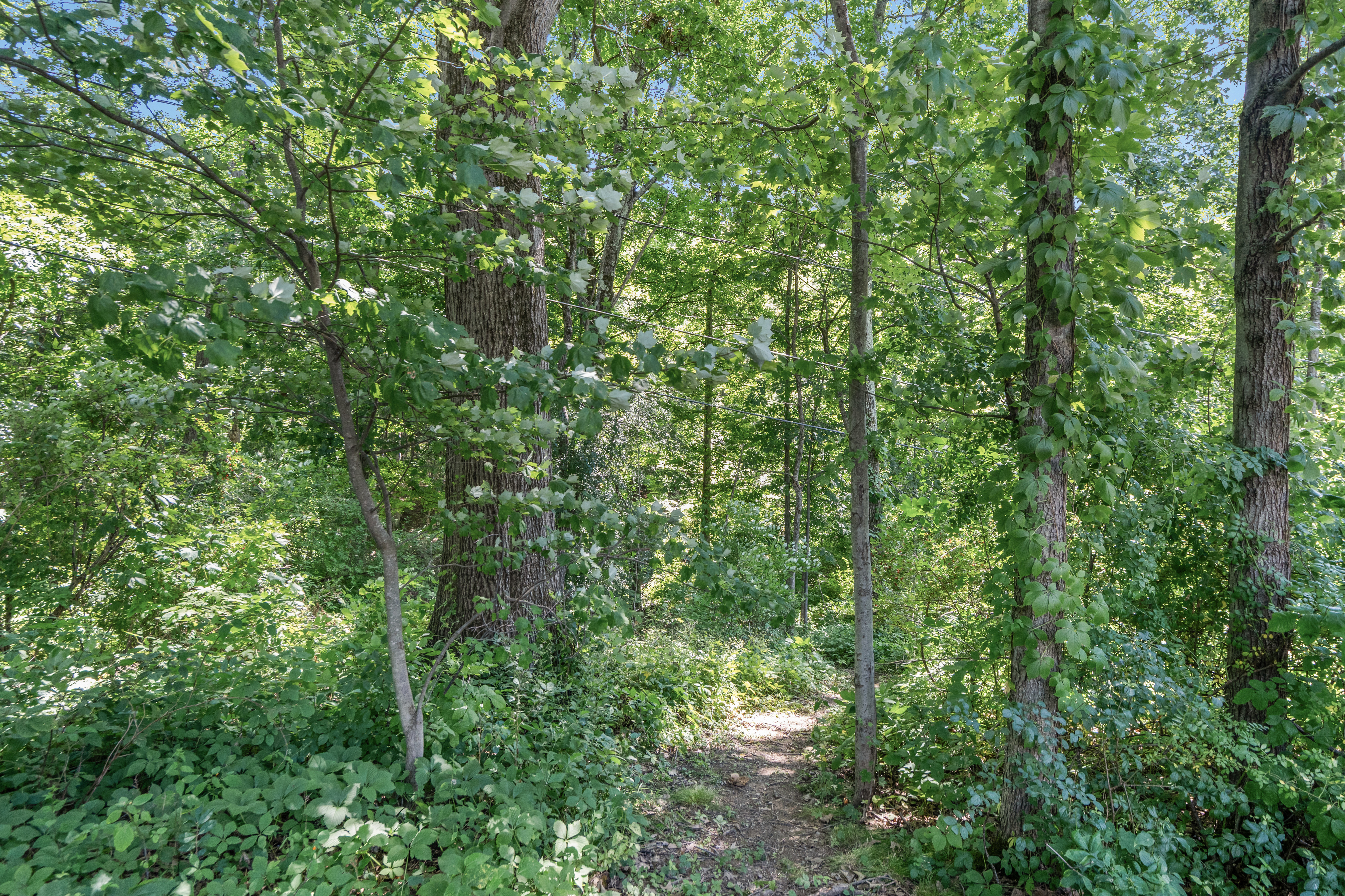 29 Yolanda Drive, Glenville, NY, 12027 - 物件實景