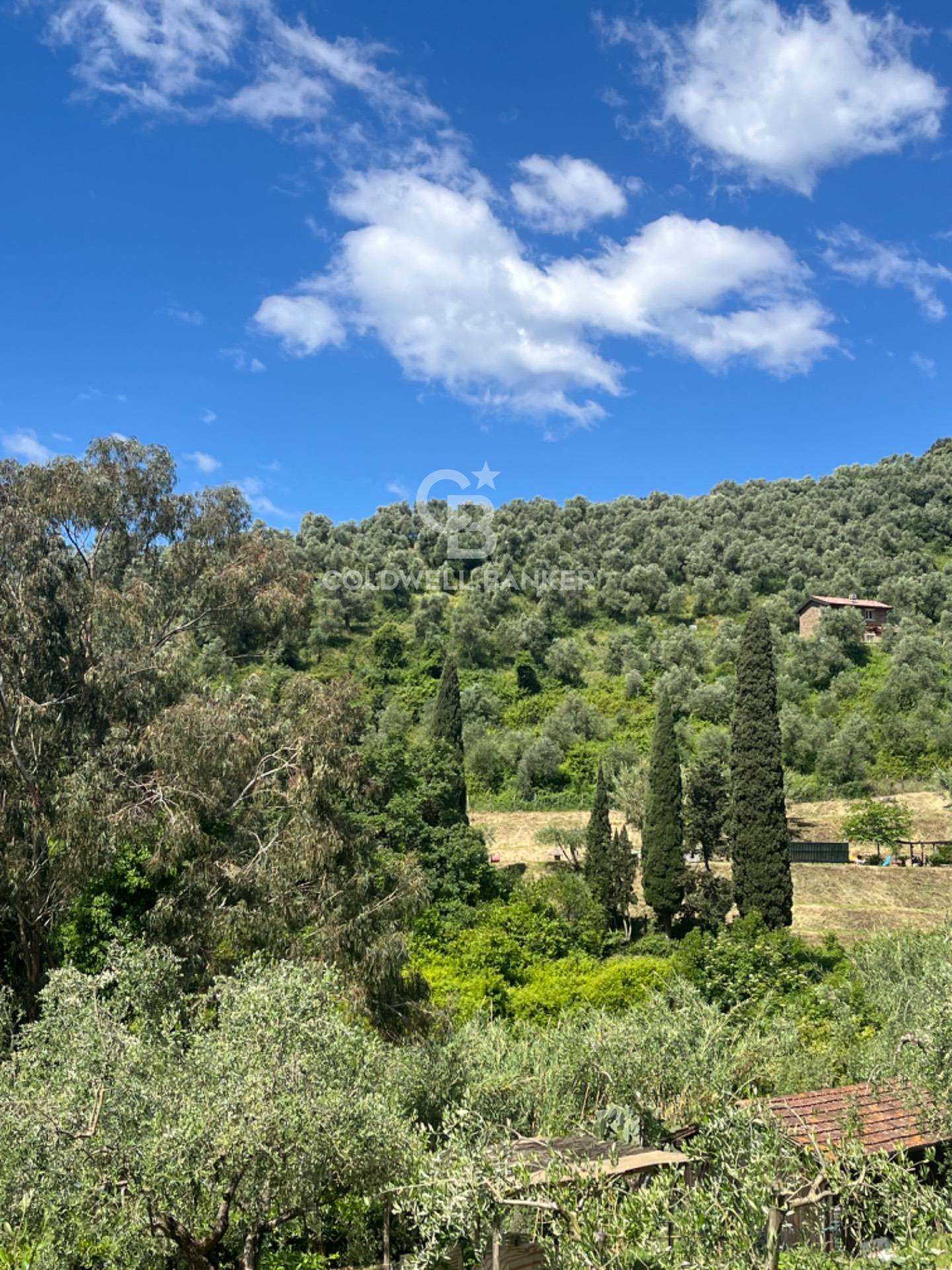 Massarosa, Lucca, 55054, IT, 3 Bedrooms Bedrooms, ,2 BathroomsBathrooms,Residential,For Sale,1829237