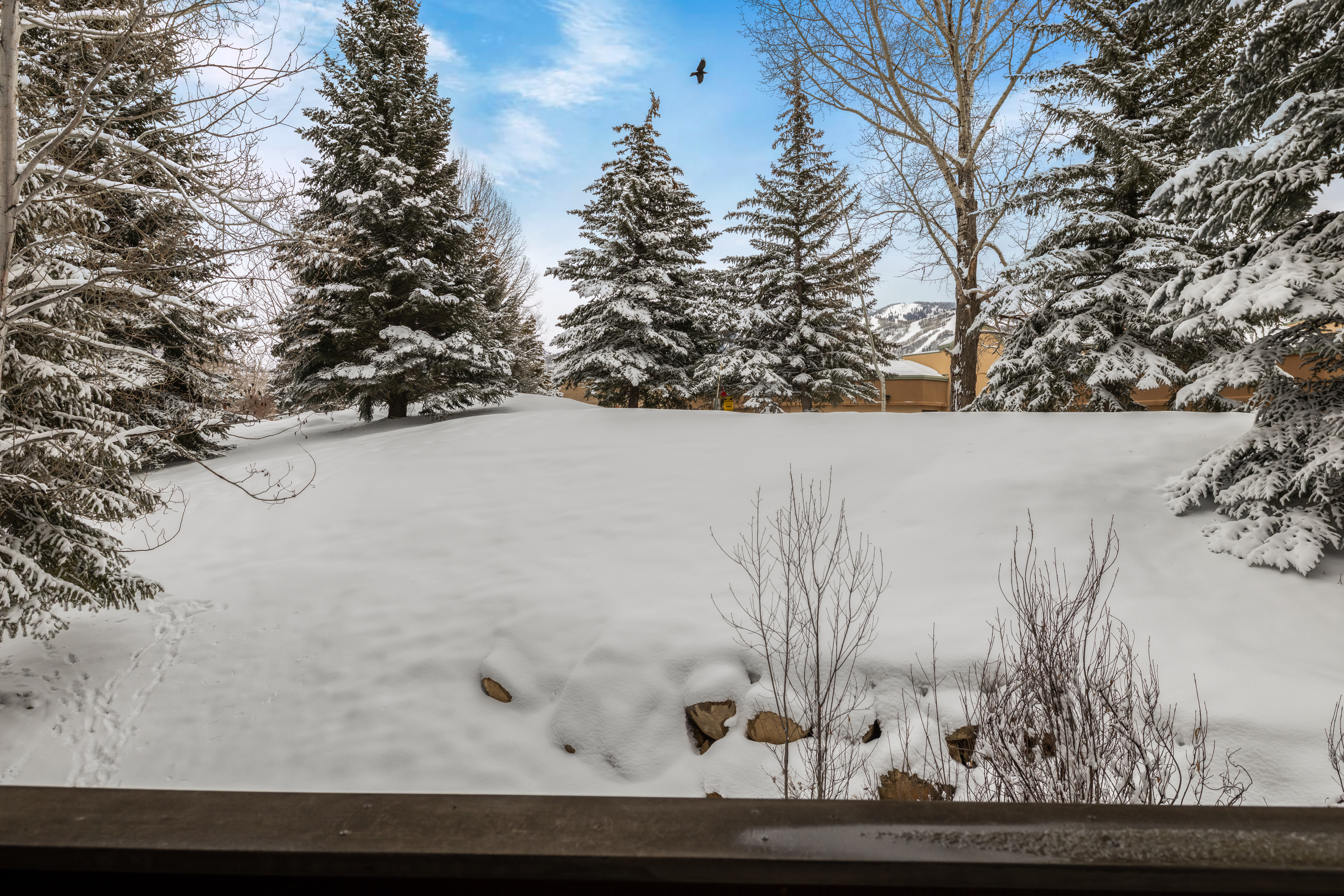  435 Ore House Plaza, Steamboat Springs, CO, 80487 - 物件實景