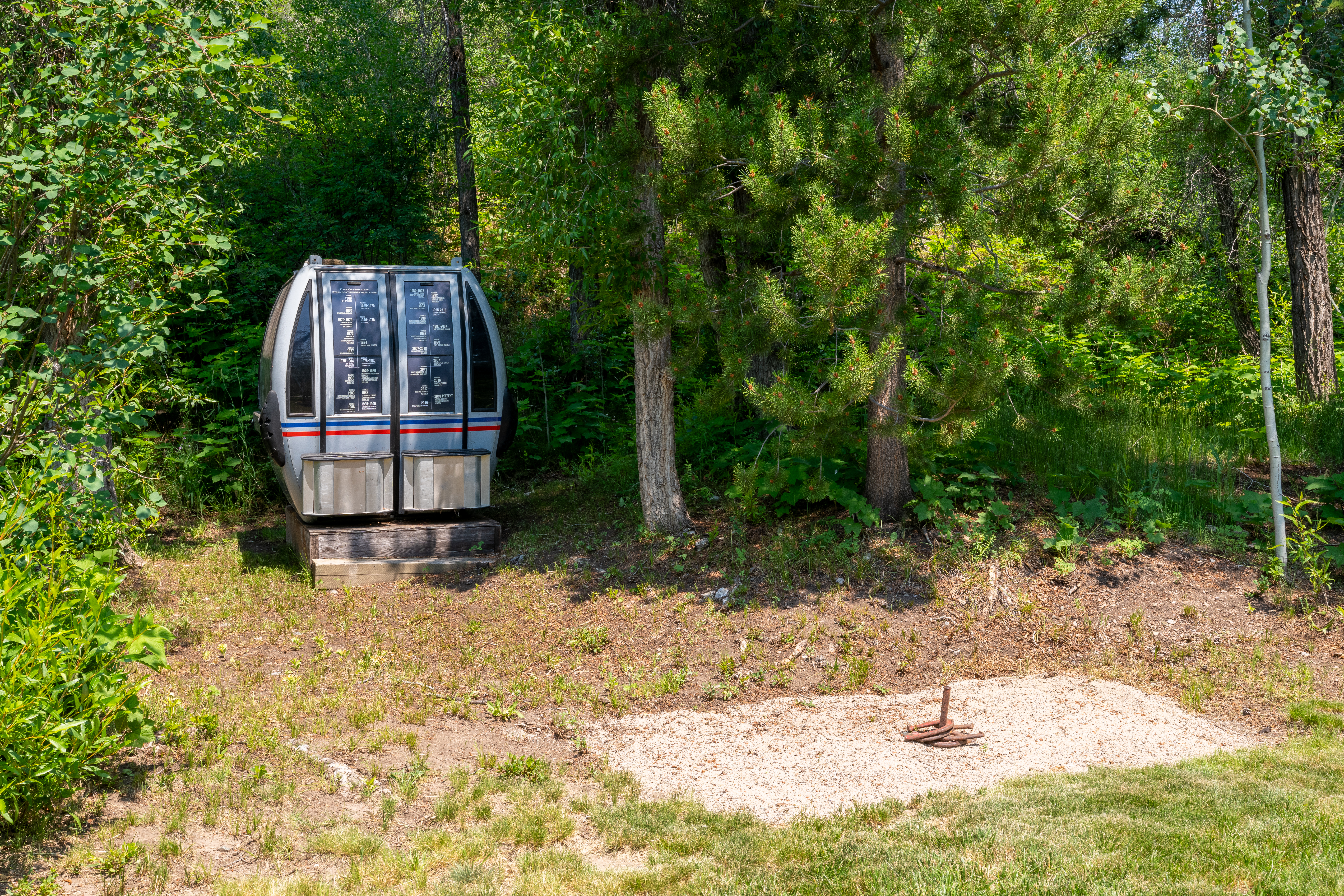  32065 Pebble Run, Steamboat Springs, CO, 80487 - 物件實景