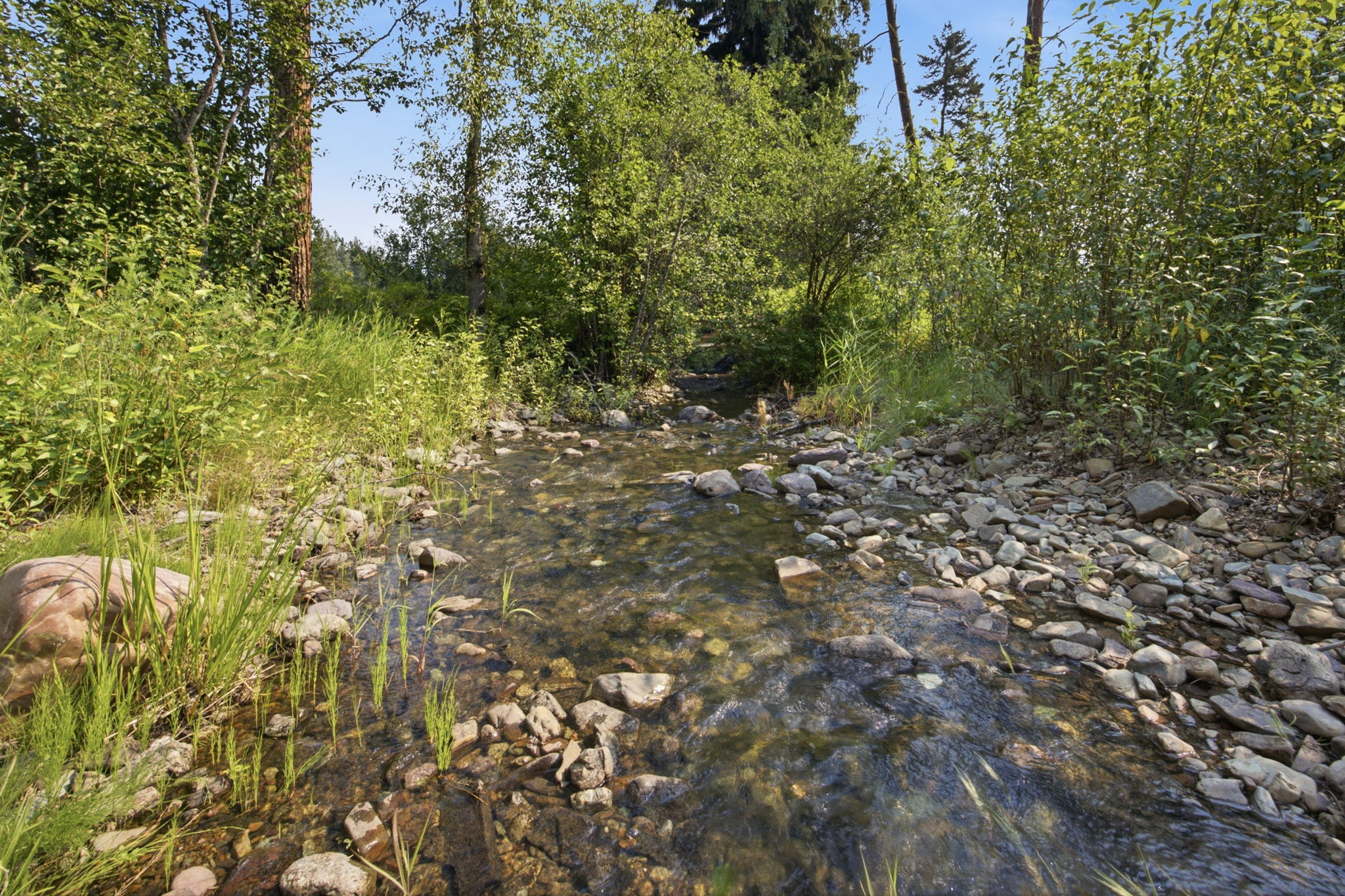  34500 Cedar Creek Road - 物件實景