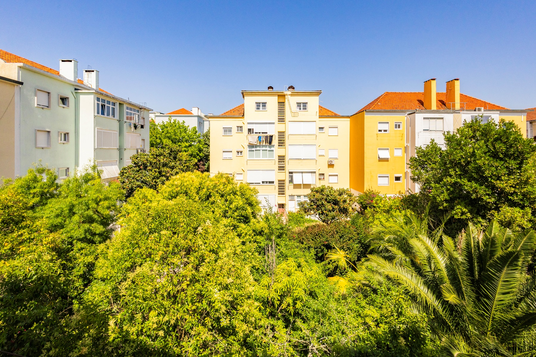  Flat, 4 bedrooms, for Sale - 物件實景
