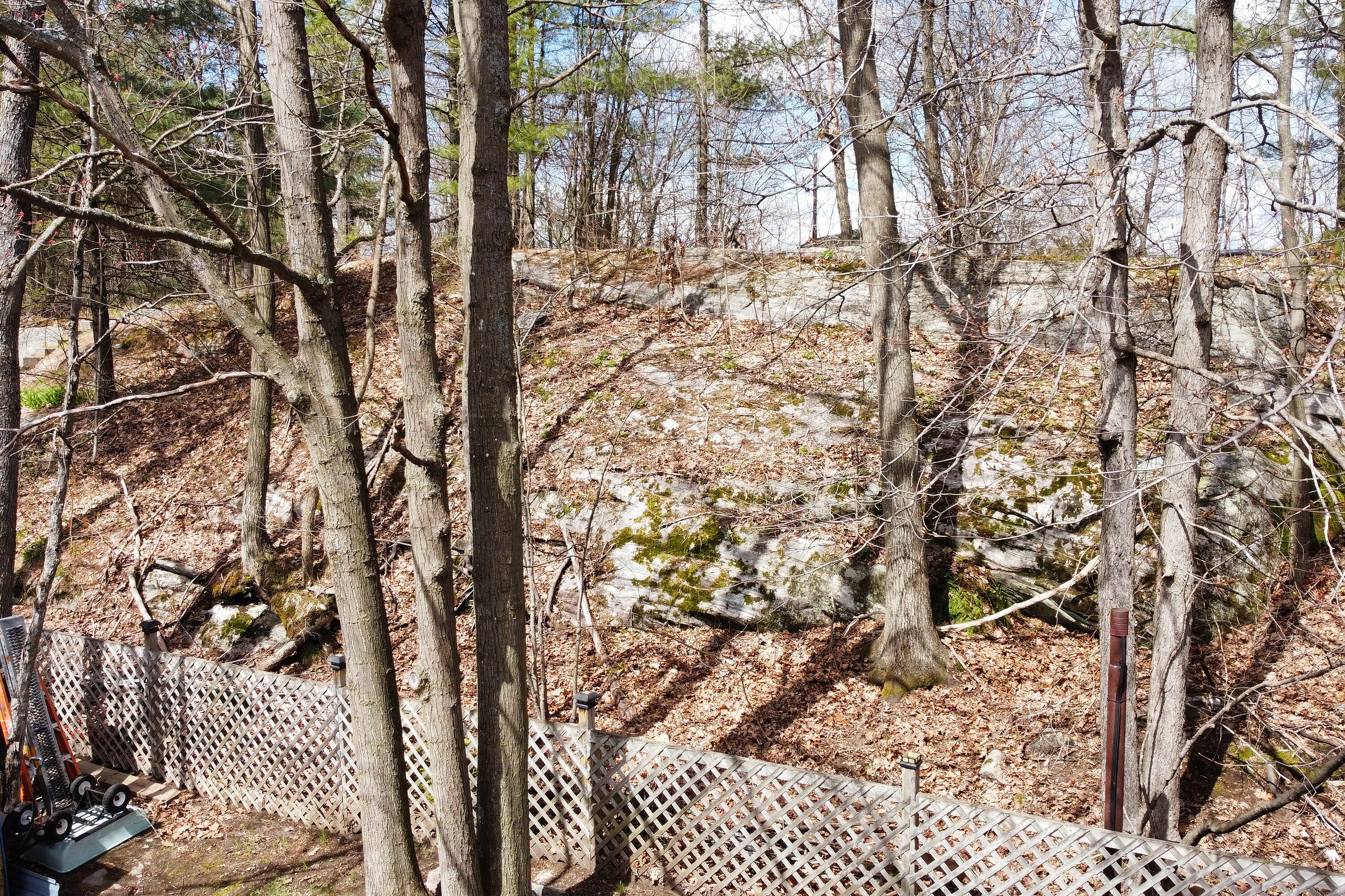  Affordable Muskoka Living - 物件實景