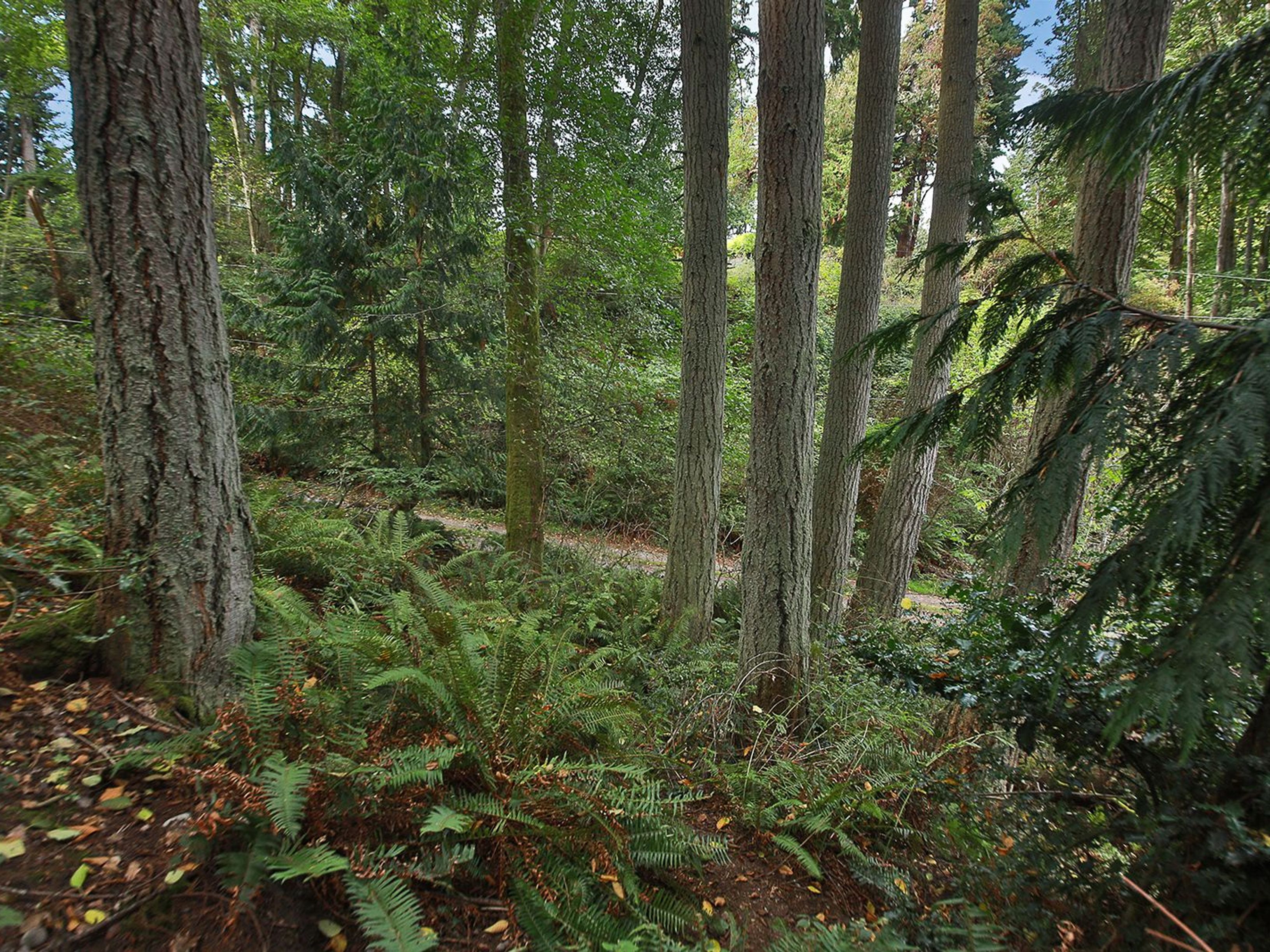  XXX Waterside Lane, Langley, WA 98260 - 物件實景