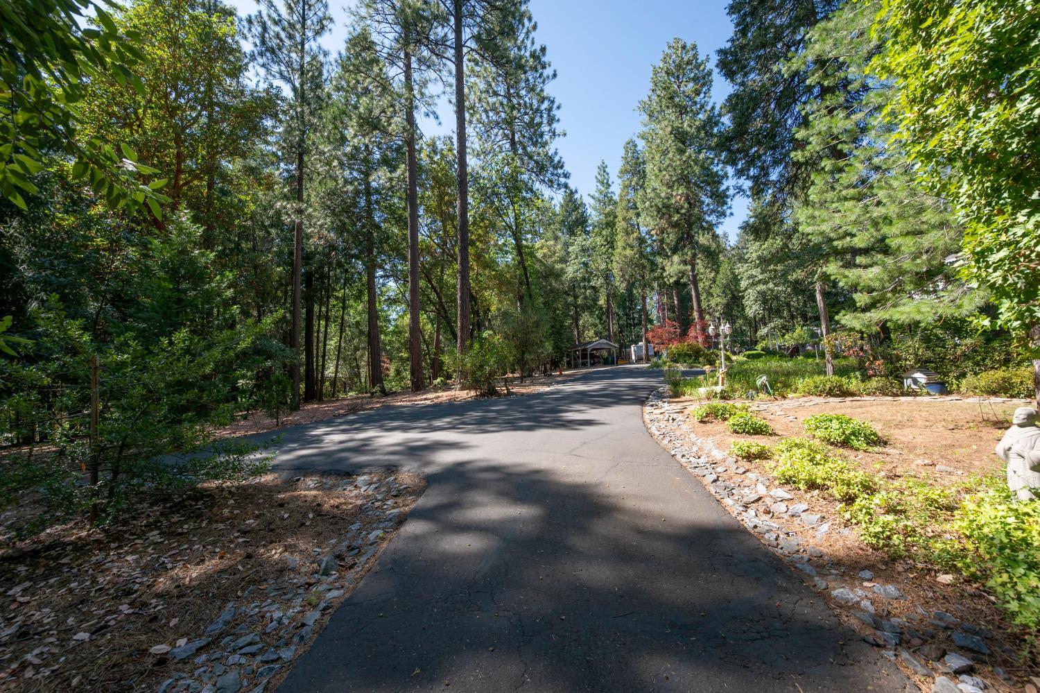 Camino, California, 95709, United States, 3 Bedrooms Bedrooms, ,4 BathroomsBathrooms,Residential,For Sale,1893476