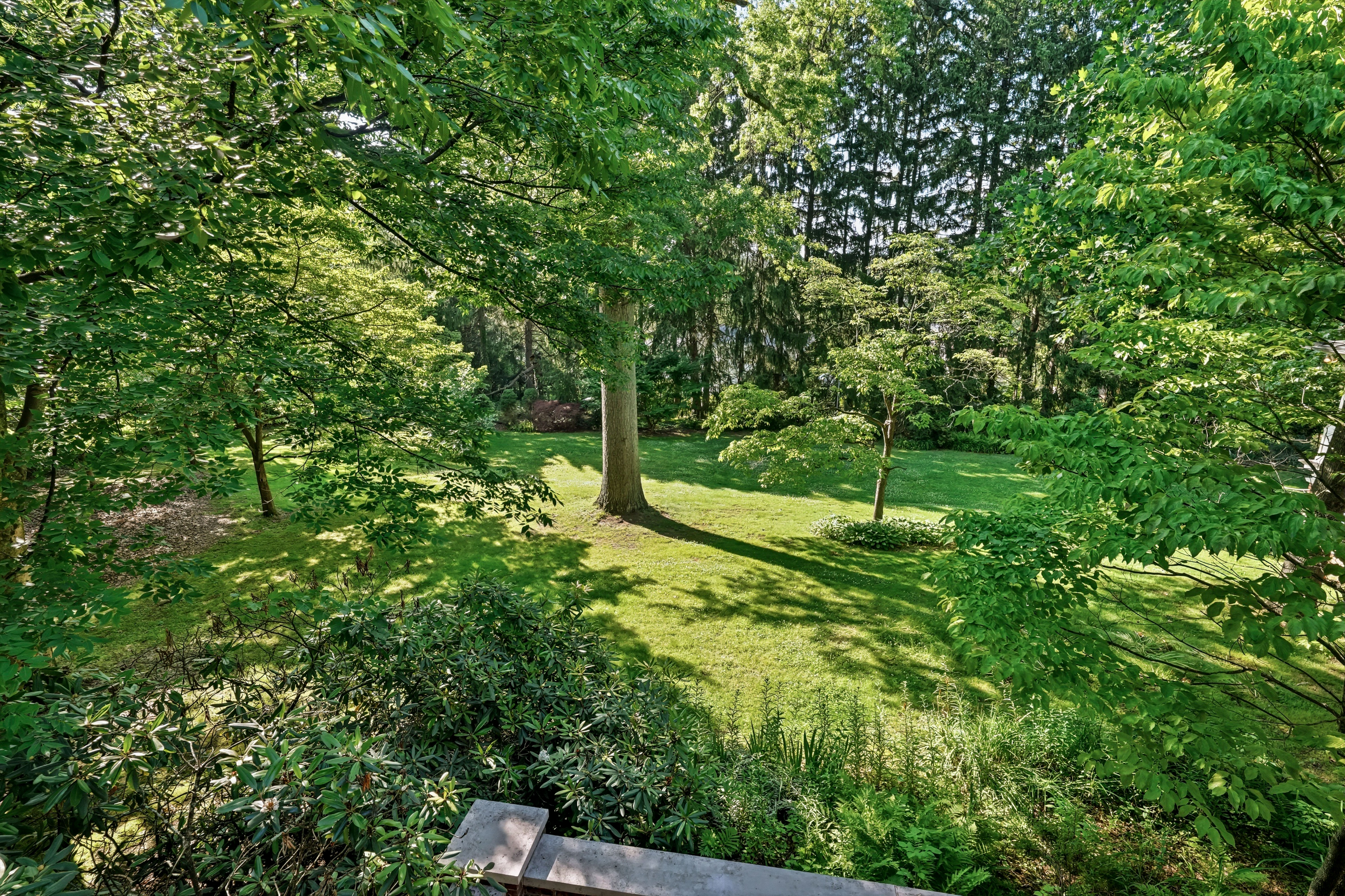  443 Saint Davids Avenue, Saint Davids, PA 19087 - 物件實景