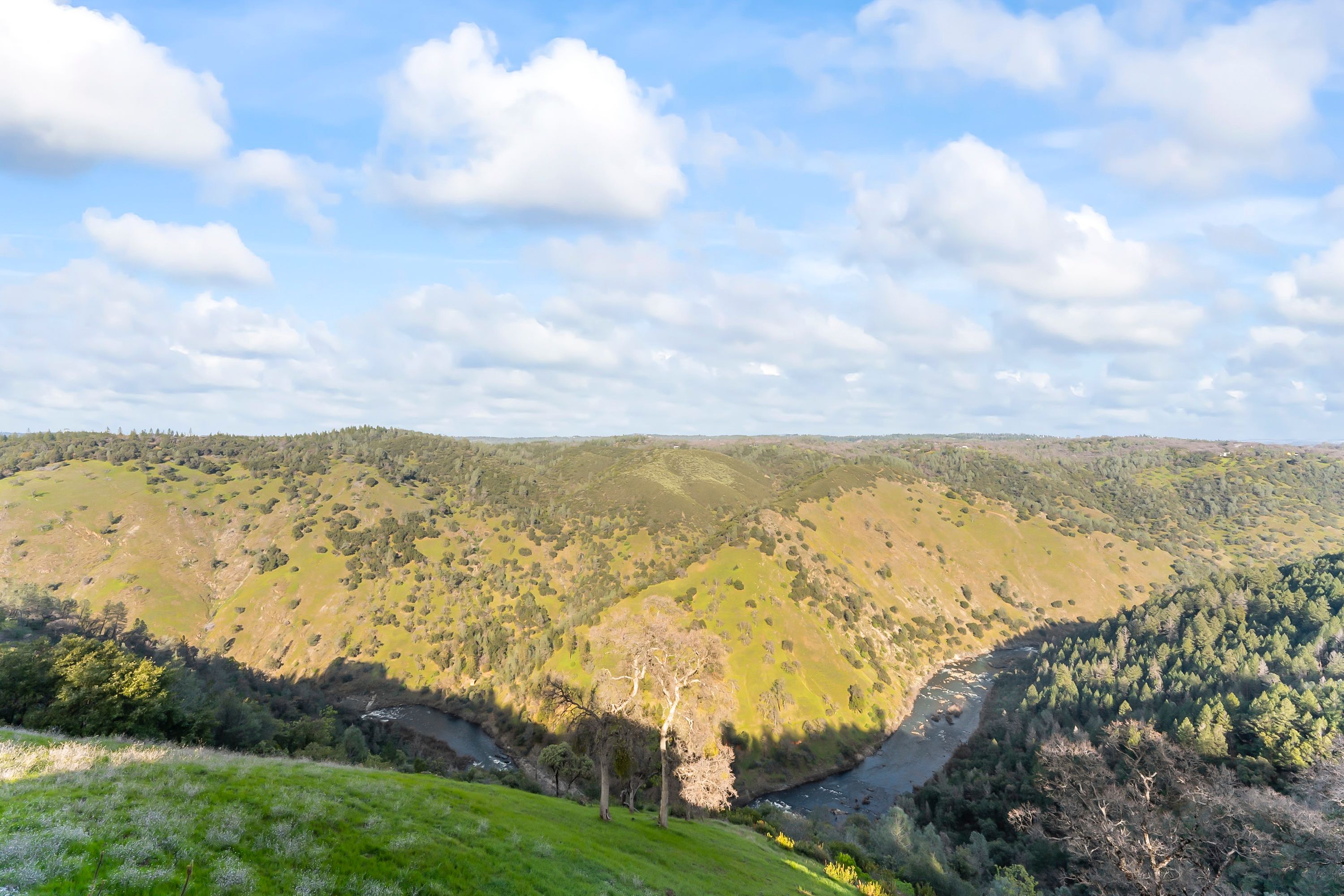  River Views • Pool • A Striking Estate That Makes a Statement - 物件實景