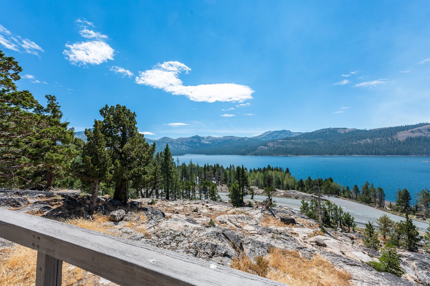  The Juniper Cabin: A Wild Invitation to See the World Differently - 物件實景