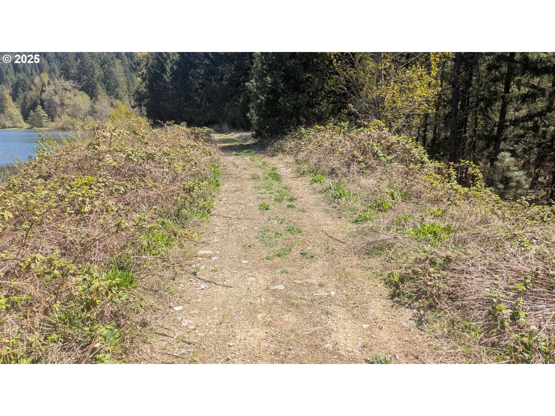 2999 Speaker Rd, Wolf Creek, Oregon, 97497, United States, 4 Bedrooms Bedrooms, ,4 BathroomsBathrooms,Residential,For Sale,2999 Speaker Rd,1659471