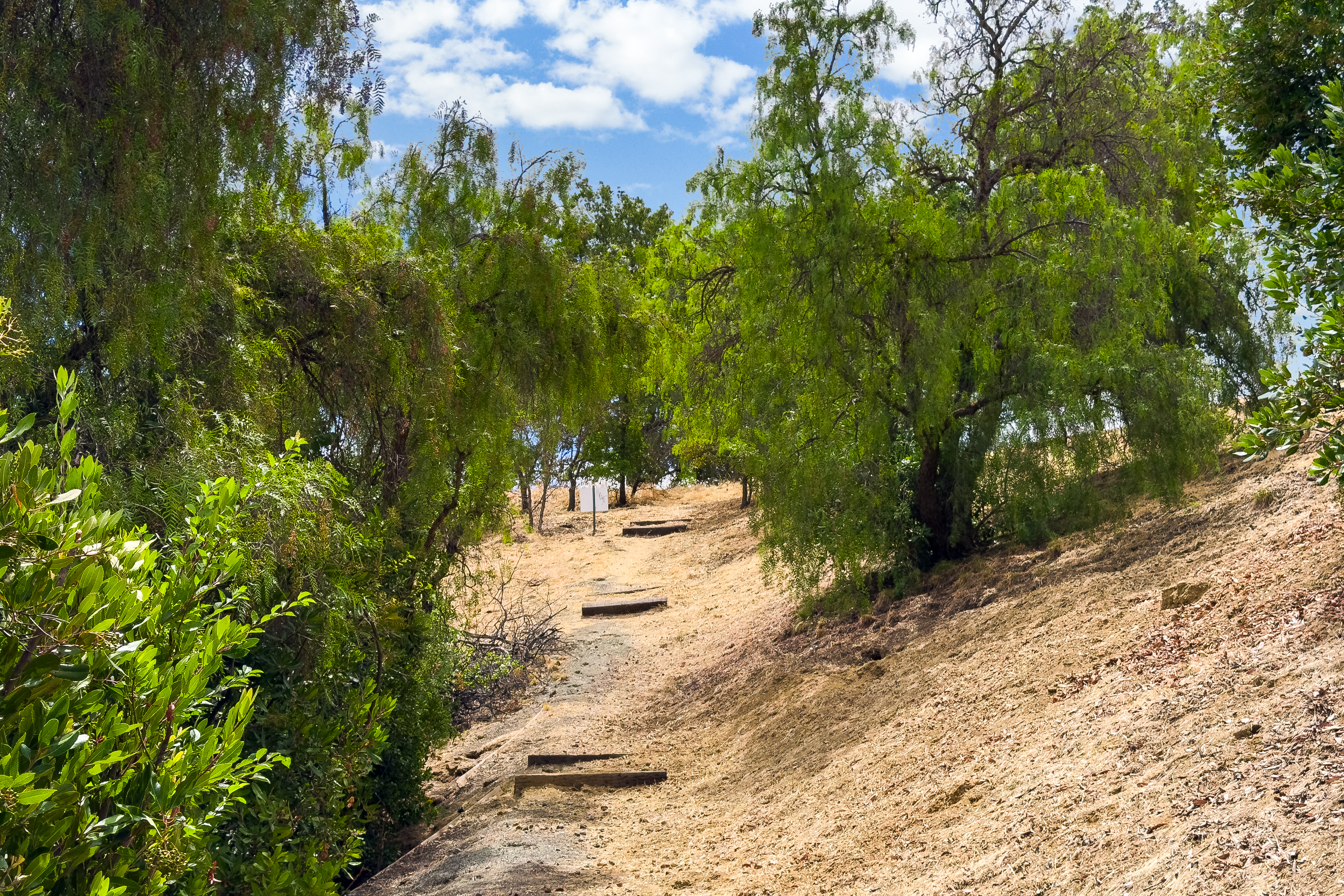  1450 Bel Air Drive, Concord, CA 94521 - 物件實景