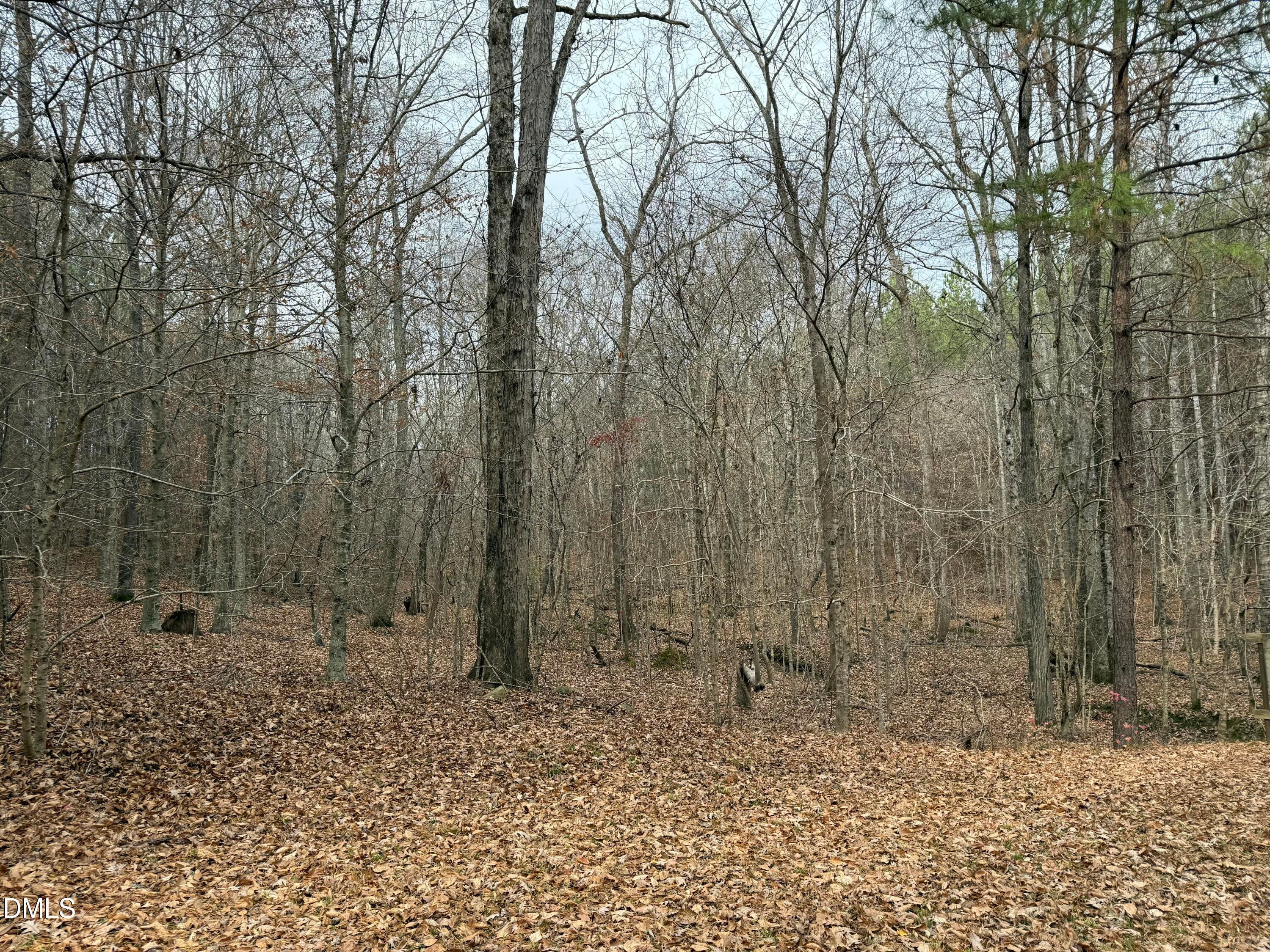 Oxford, North Carolina, 27565, United States, ,Land,For Sale,2000467