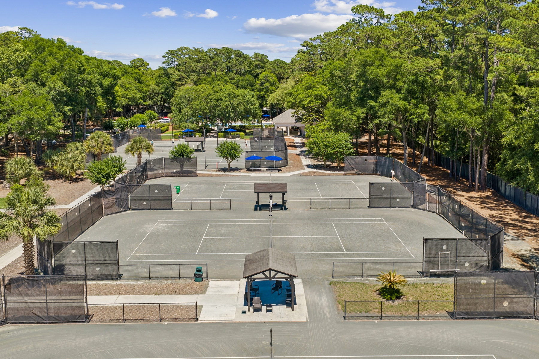  17 Balsams Court, Hilton Head Island - 物件實景