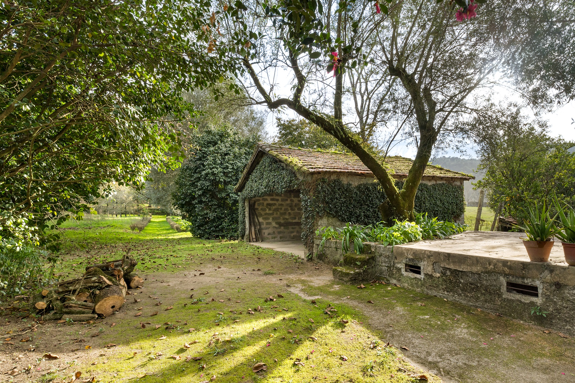  Farm, 6 bedrooms, for Sale - 物件實景