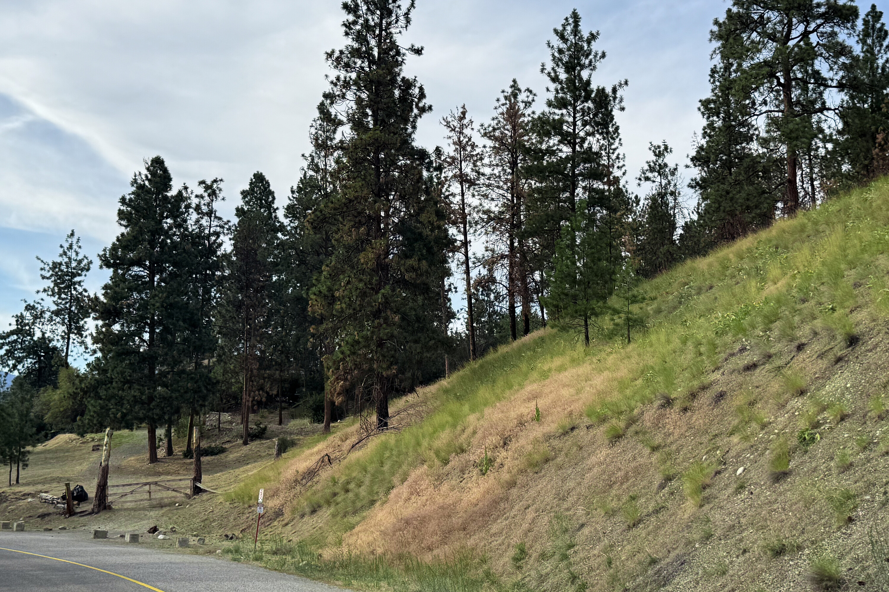  Okanagan Lake View & Access - 物件實景