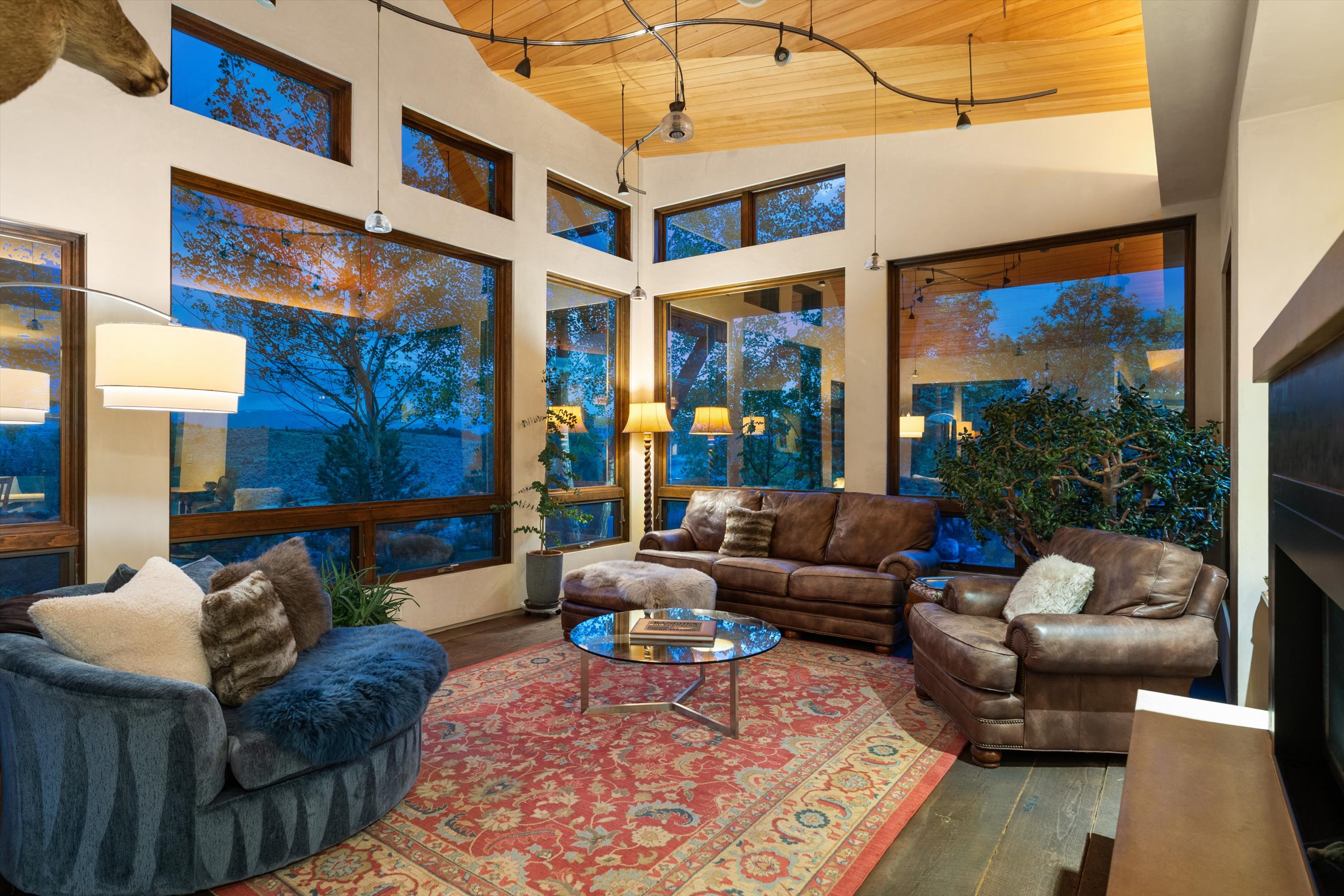  232 Clipper Place, Carbondale, CO 81623 - 物件實景