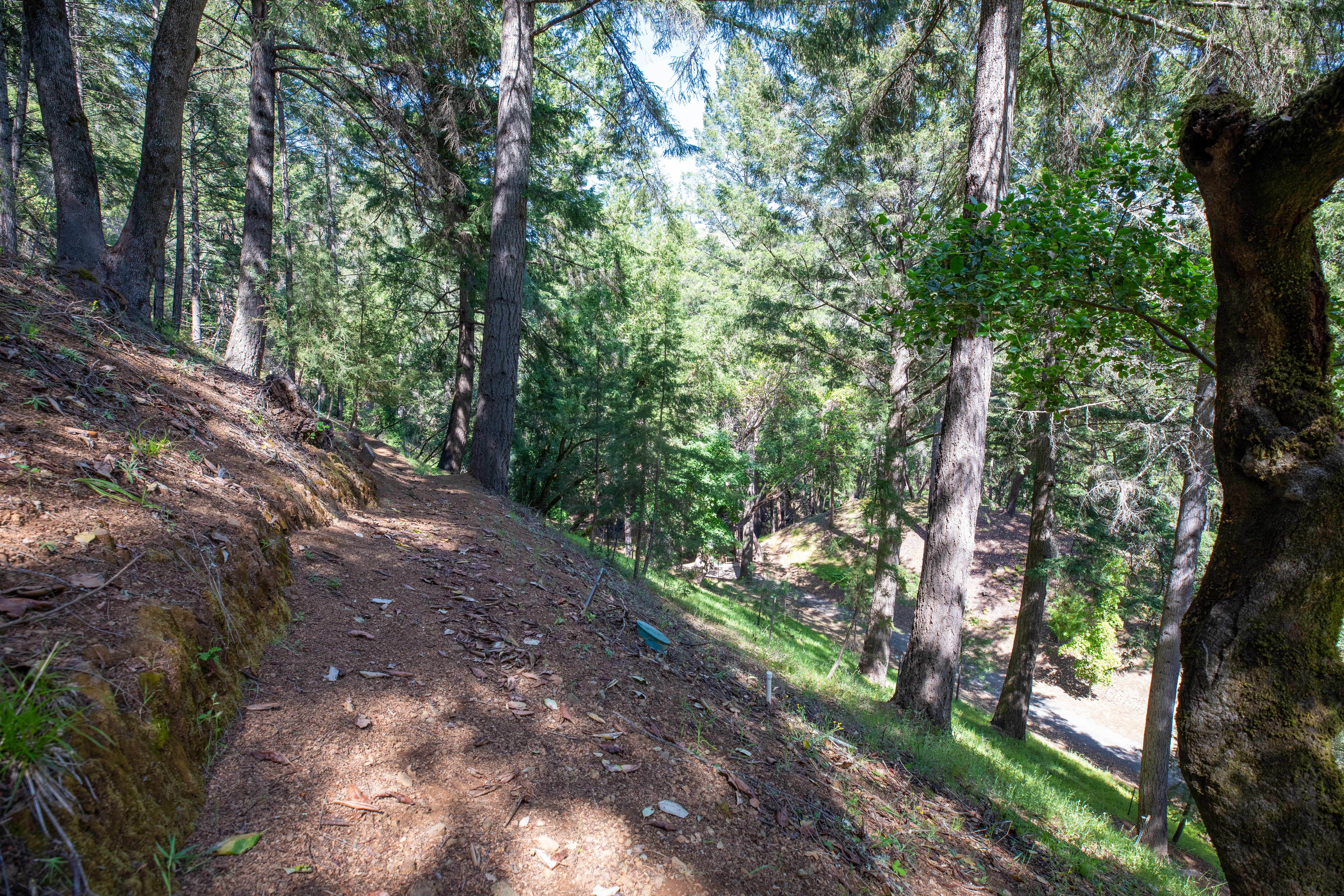  18900 Armstrong Woods Road, Guerneville, CA 95446 - 物件實景