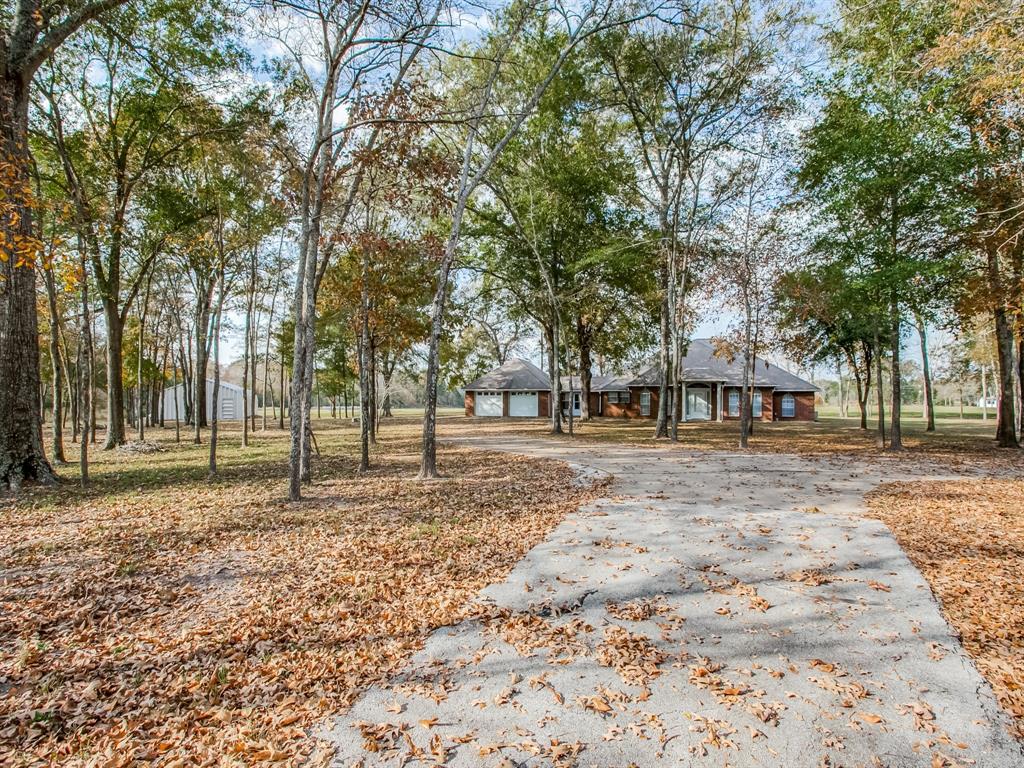 1370 Vzcr 4907, Ben Wheeler, Texas, 75754, United States, 11 Bedrooms Bedrooms, ,14 BathroomsBathrooms,Land,For Sale,1370 Vzcr 4907,1663895