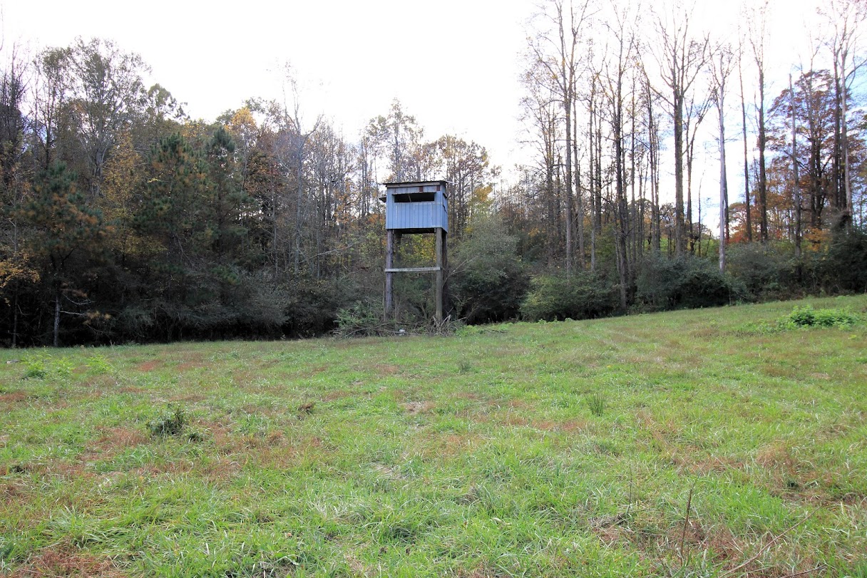 Bowdon, Georgia, 30108, United States, ,Land,For Sale,1989904