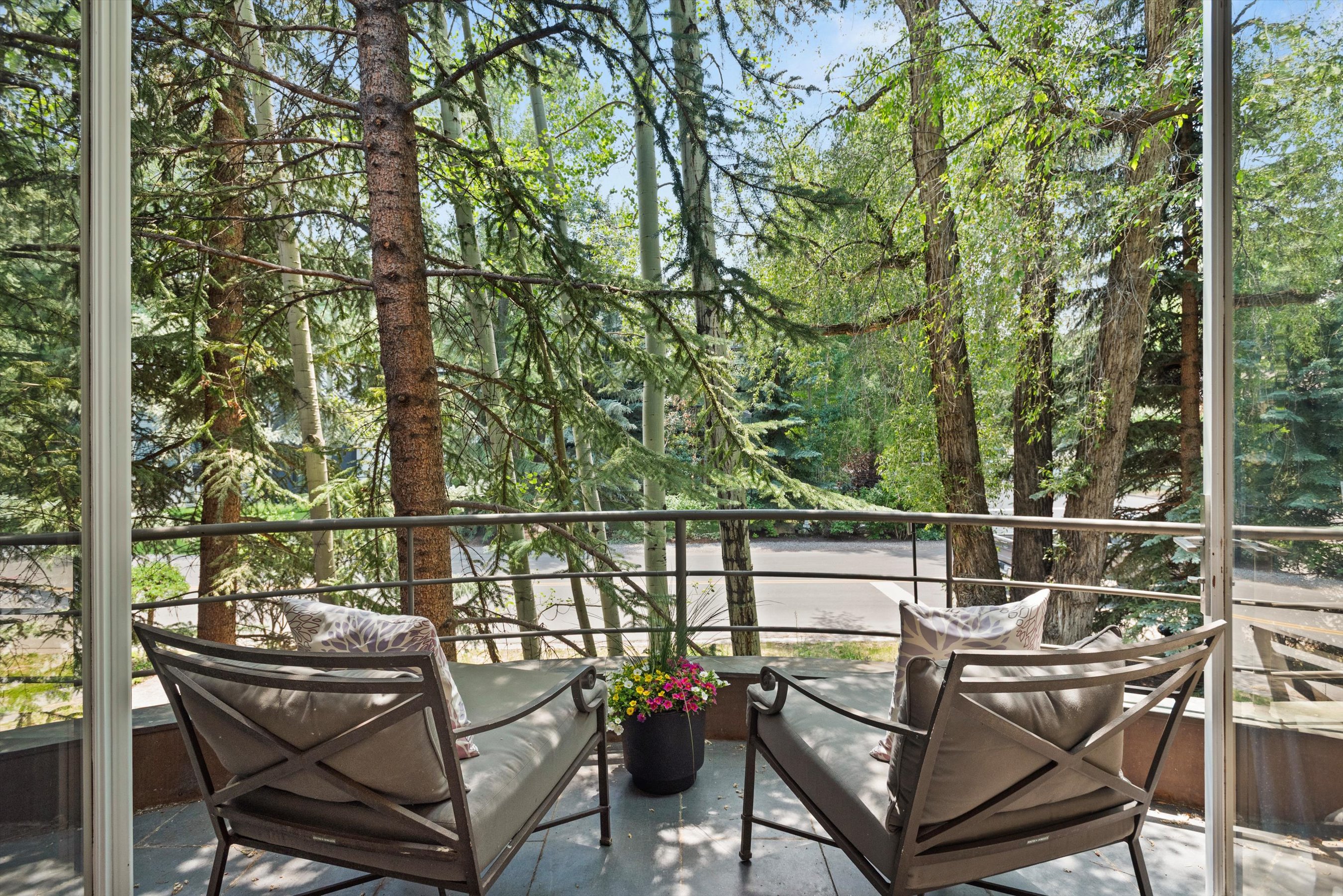  736 W Smuggler Street, Aspen, CO, 81611 - 物件實景