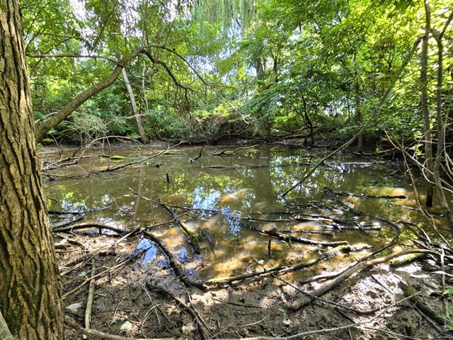 Soldiers Grove, Wisconsin, 54655, United States, ,Residential,For Sale,1904282