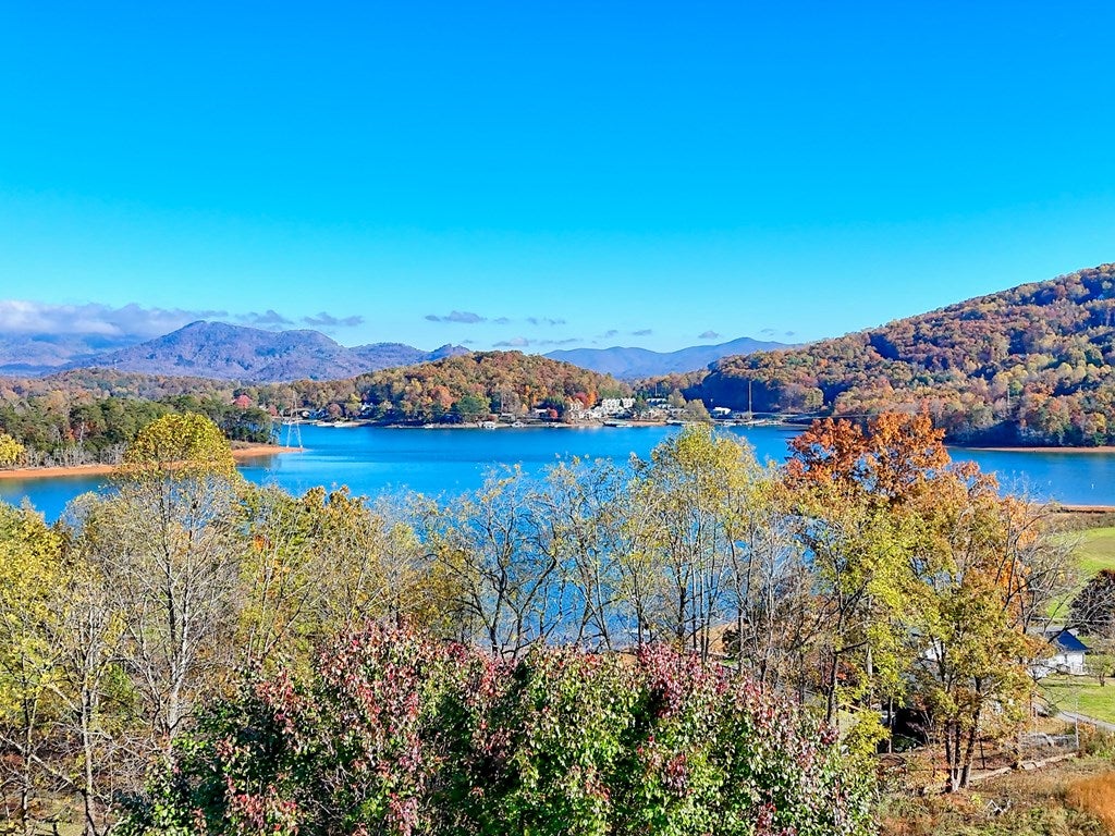 Young Harris, Georgia, 30582, United States, 4 Bedrooms Bedrooms, ,5 BathroomsBathrooms,Residential,For Sale,1987920