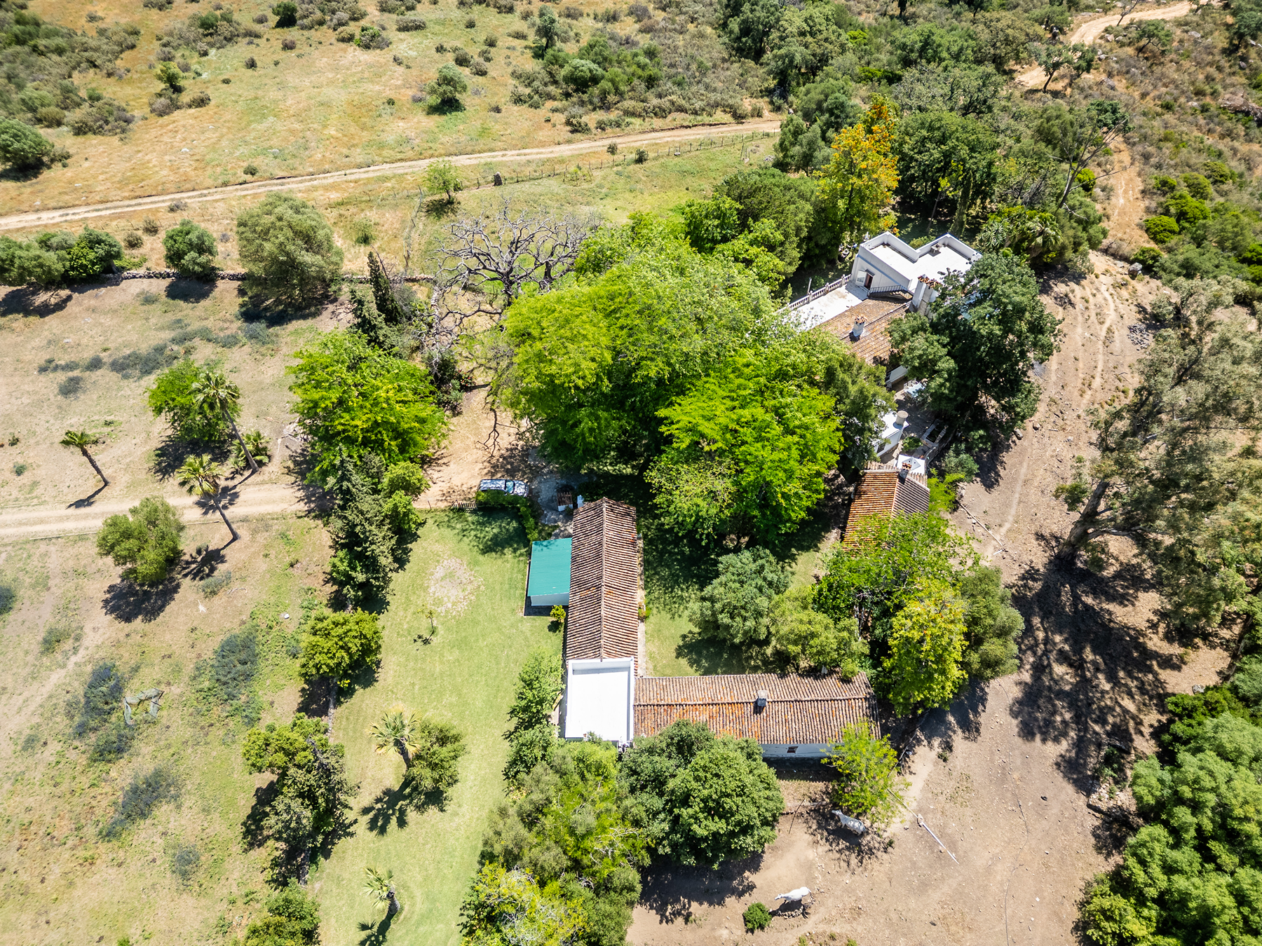  Exclusive Estate in Los Alcornocales Natural Park - 物件實景