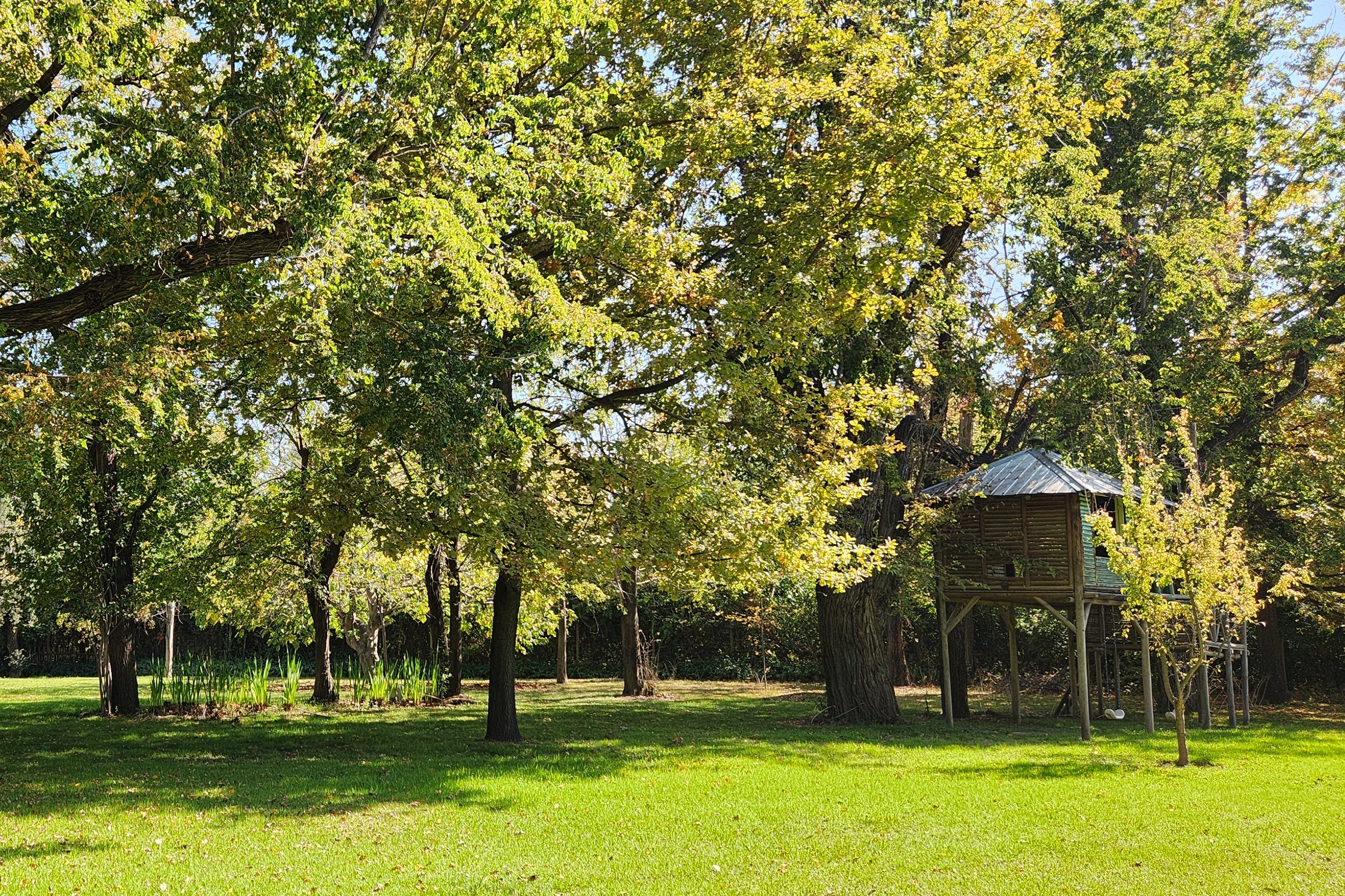  Two Houses within a Century-Old Park on a 1-Hectare Estate in Pirque - 物件實景