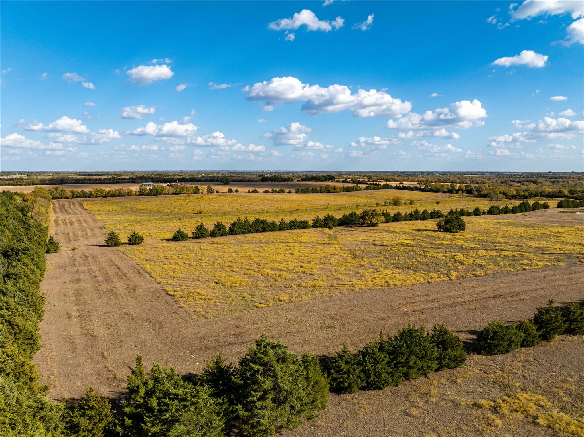 Brookston, Texas, 75421, United States, ,Residential,For Sale,1842459