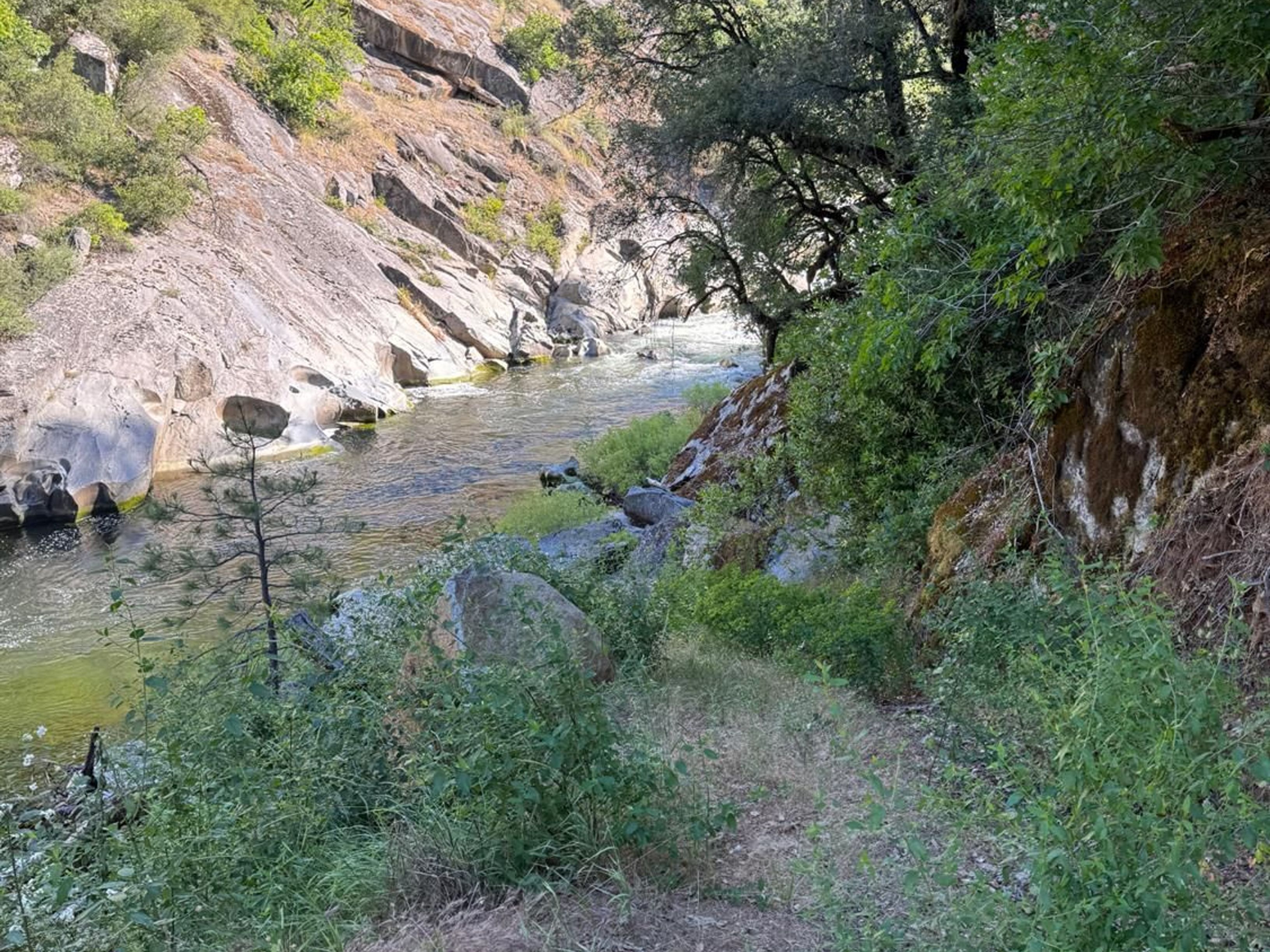  0 Old Country Road, West Point, CA 95255 - 物件實景