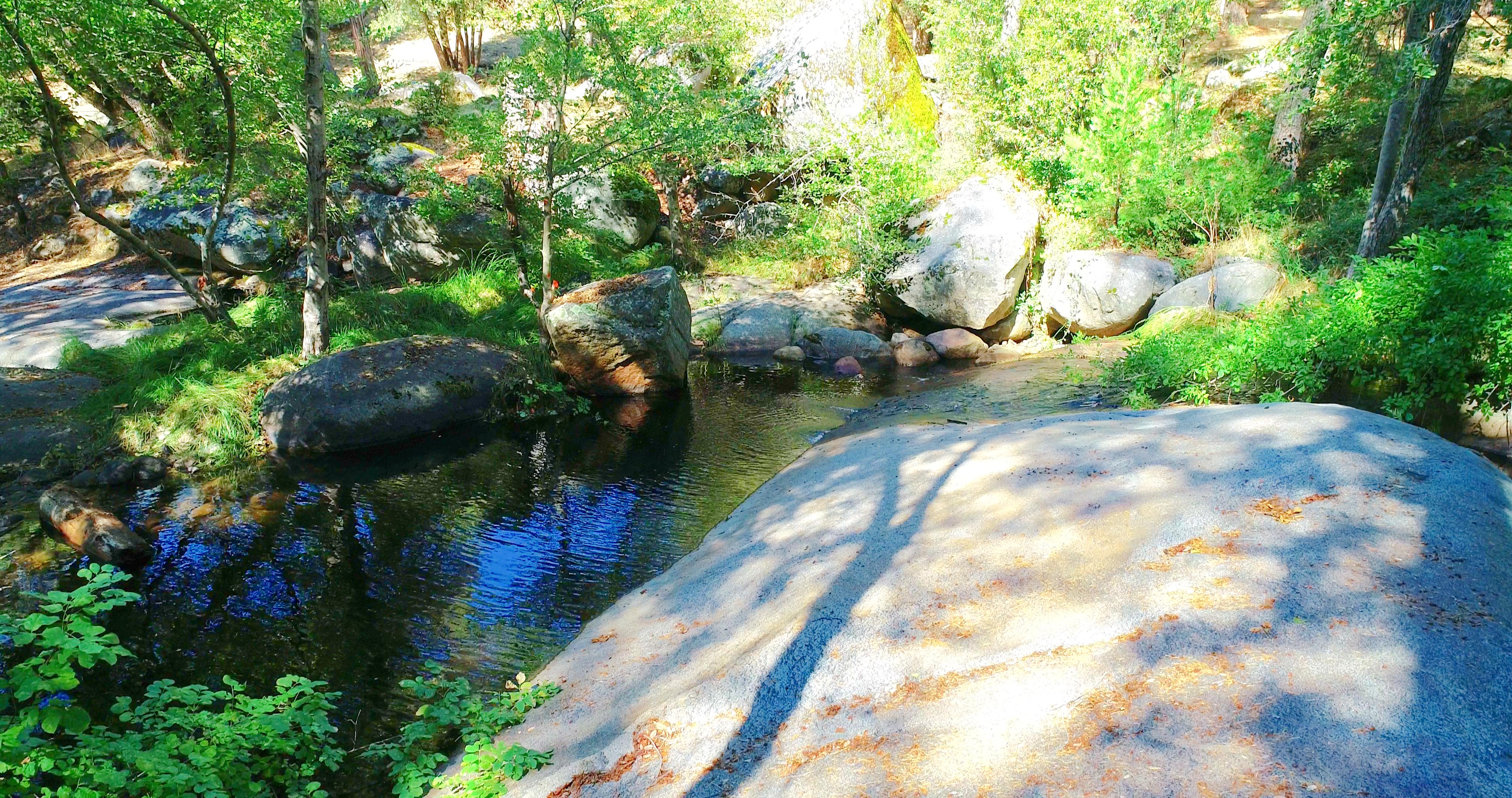 Mariposa, California, 95338, United States, 3 Bedrooms Bedrooms, ,3 BathroomsBathrooms,Residential,For Sale,1973787