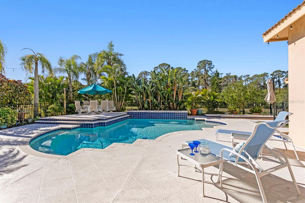 Palm Harbor, Florida, 34685, United States, 5 Bedrooms Bedrooms, ,3 BathroomsBathrooms,Residential,For Sale,1980660