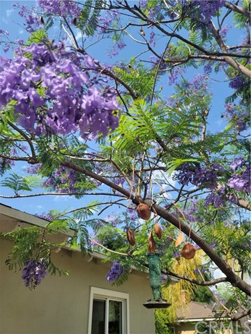 Claremont, California, 91711, United States, 3 Bedrooms Bedrooms, ,2 BathroomsBathrooms,Residential,For Sale,1935083