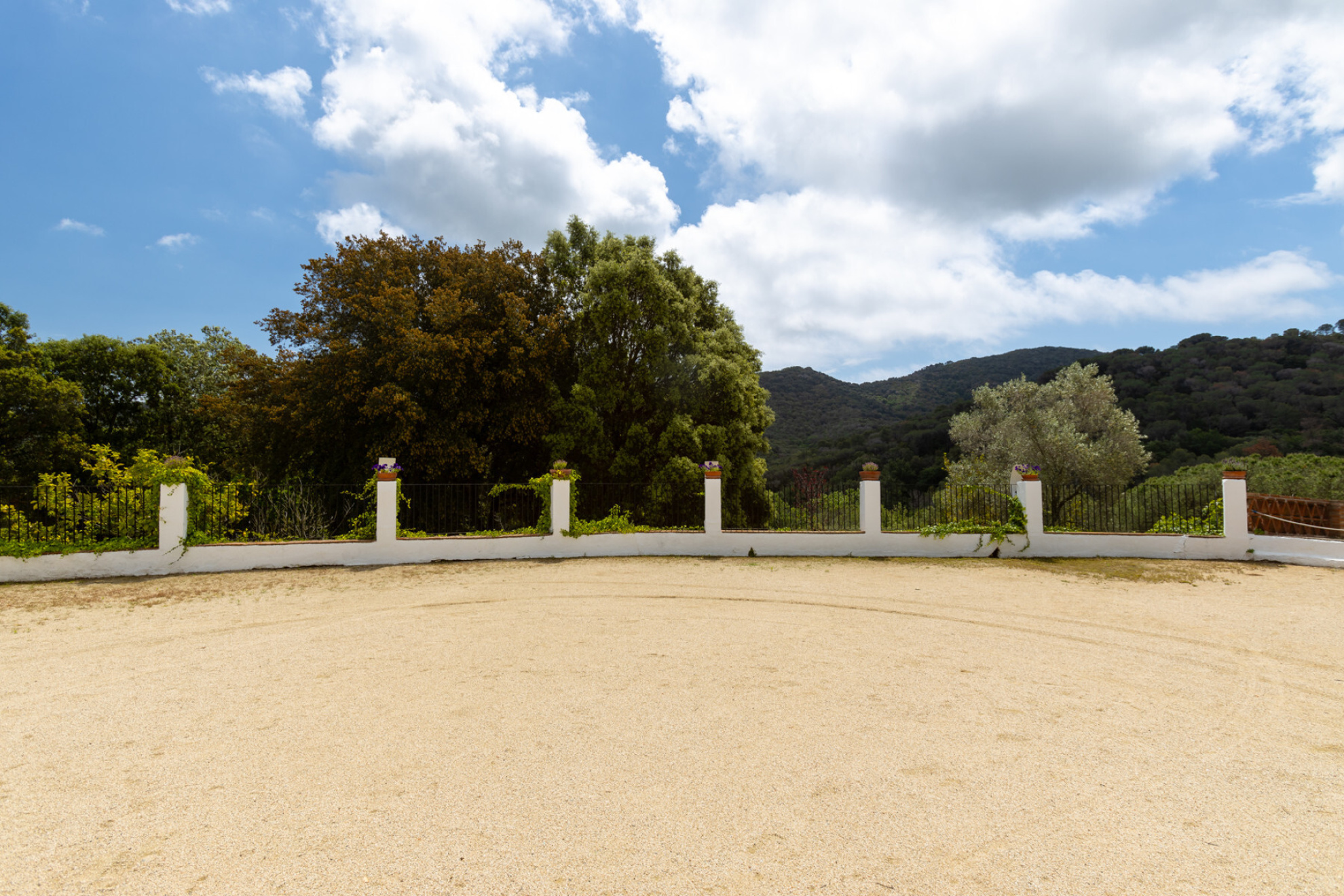  Architectural jewel of the XVI century in a natural park. - 物件實景