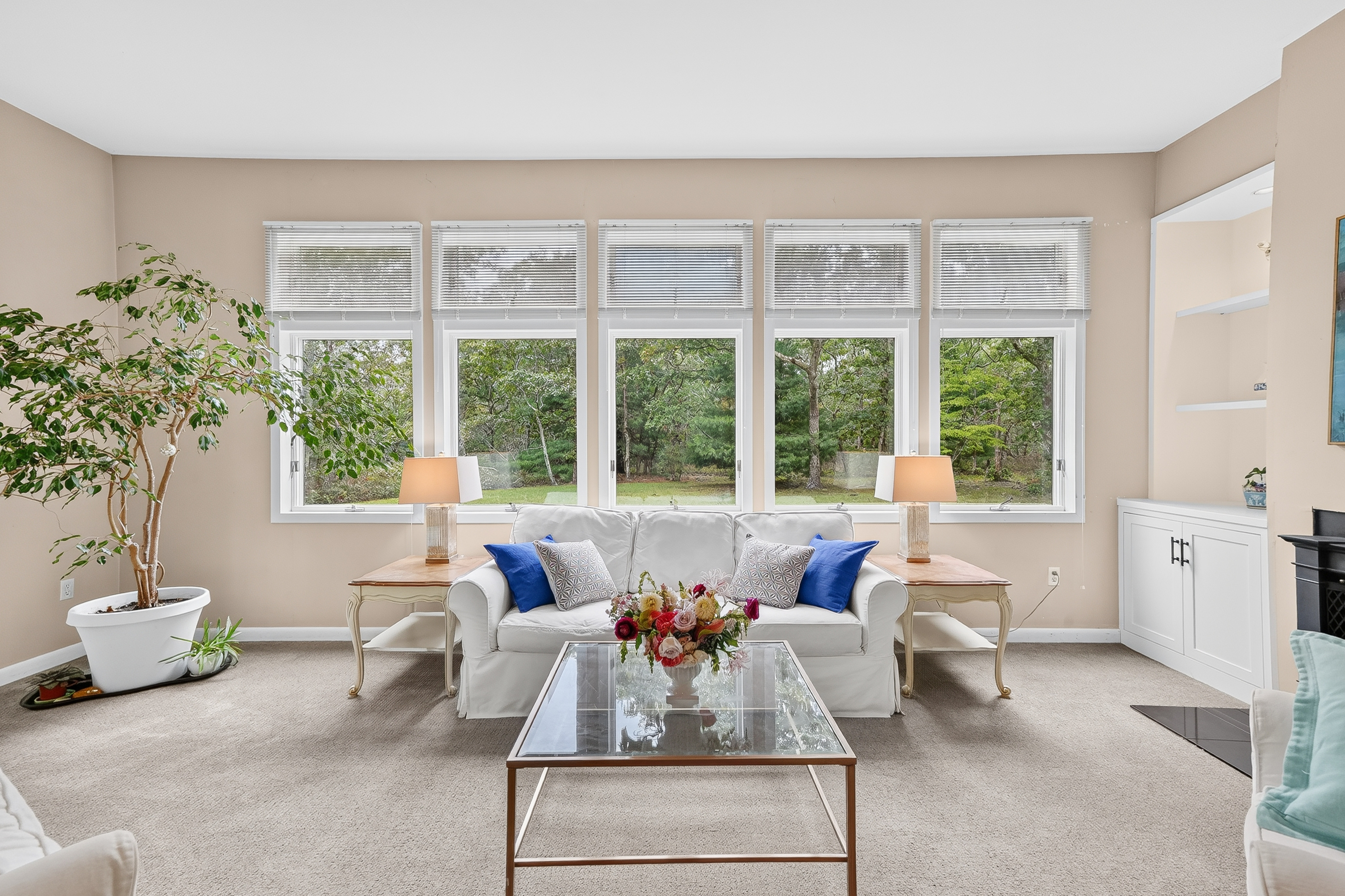  Peaceful Retreat in Edgartown - 物件實景