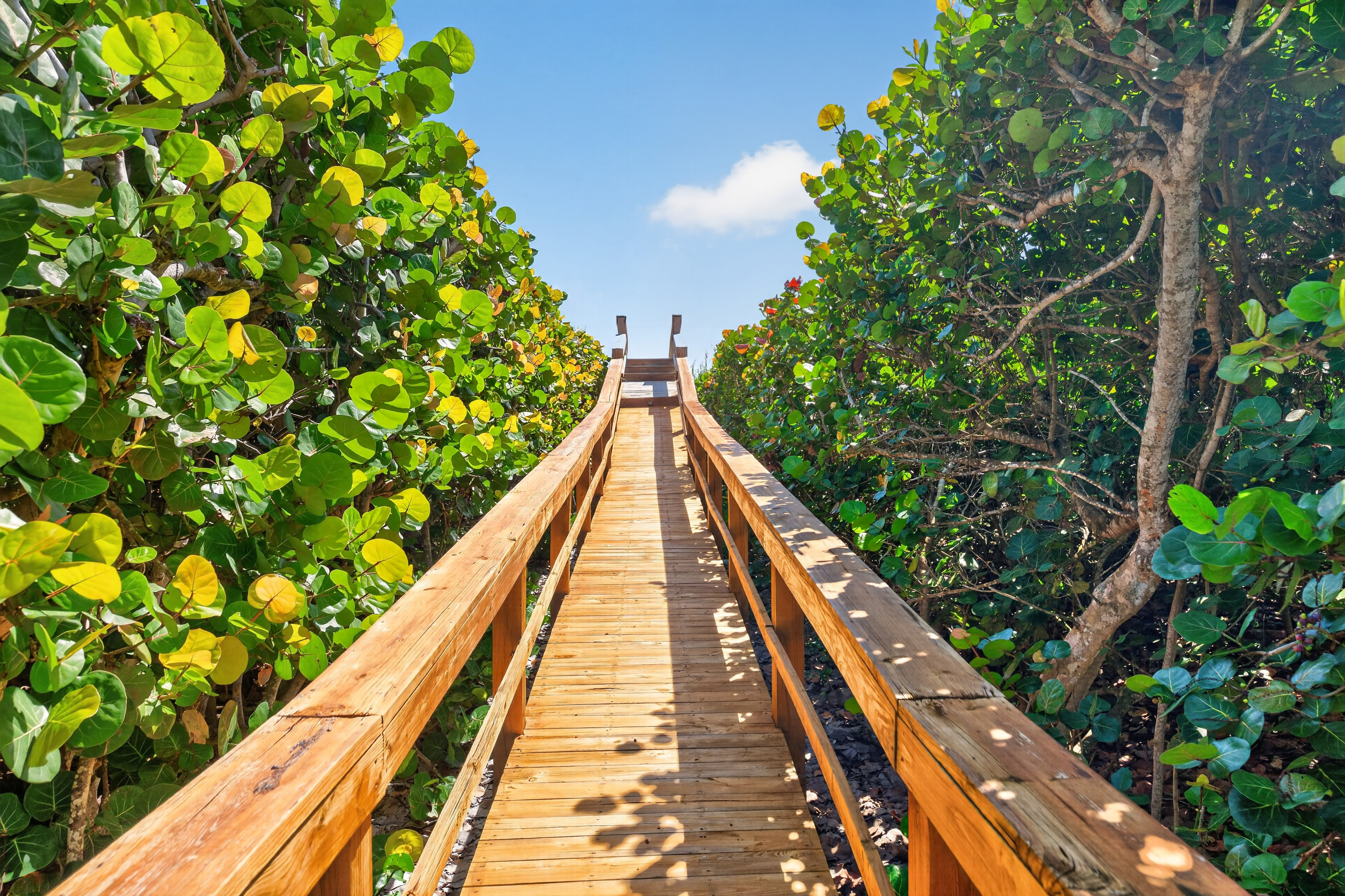  13090 Highway A1a, Vero Beach, FL, 32963 - 物件實景