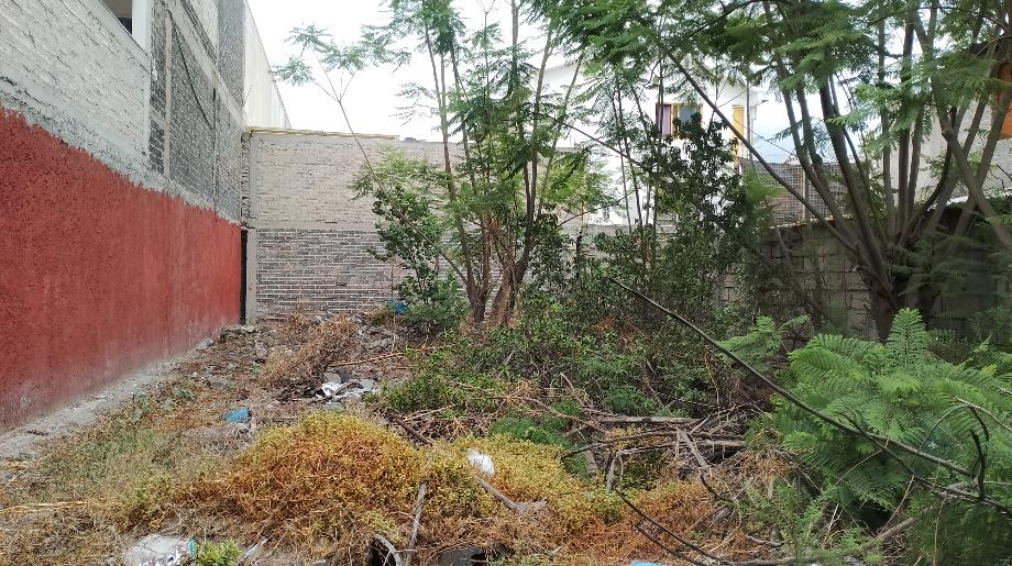 Gustavo A. Madero, Ciudad de México, 07530, Mexico, 1 Bedroom Bedrooms, ,Residential,For Sale,1994709