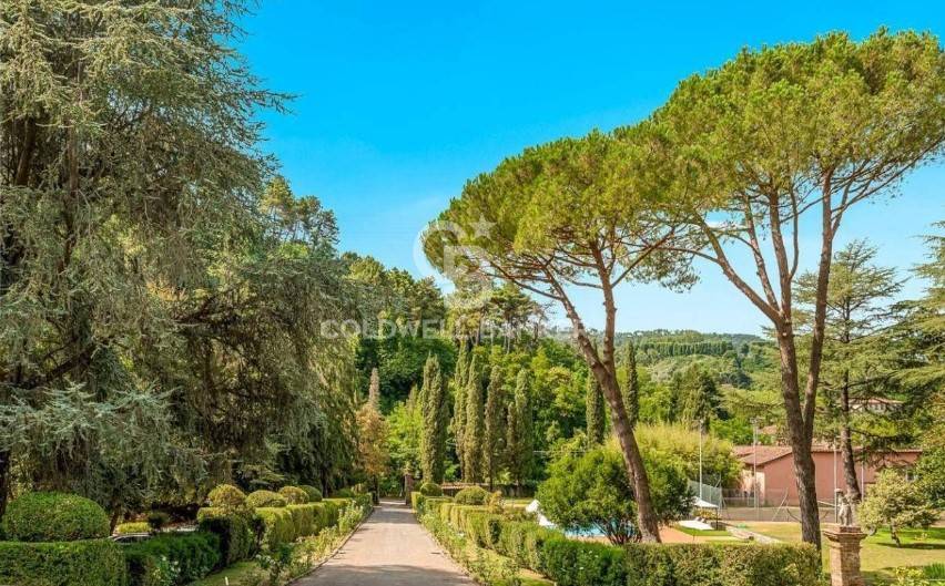 via melaio, Camaiore, Lucca, 55041, IT, 9 Bedrooms Bedrooms, ,9 BathroomsBathrooms,Residential,For Sale,via melaio,1675082