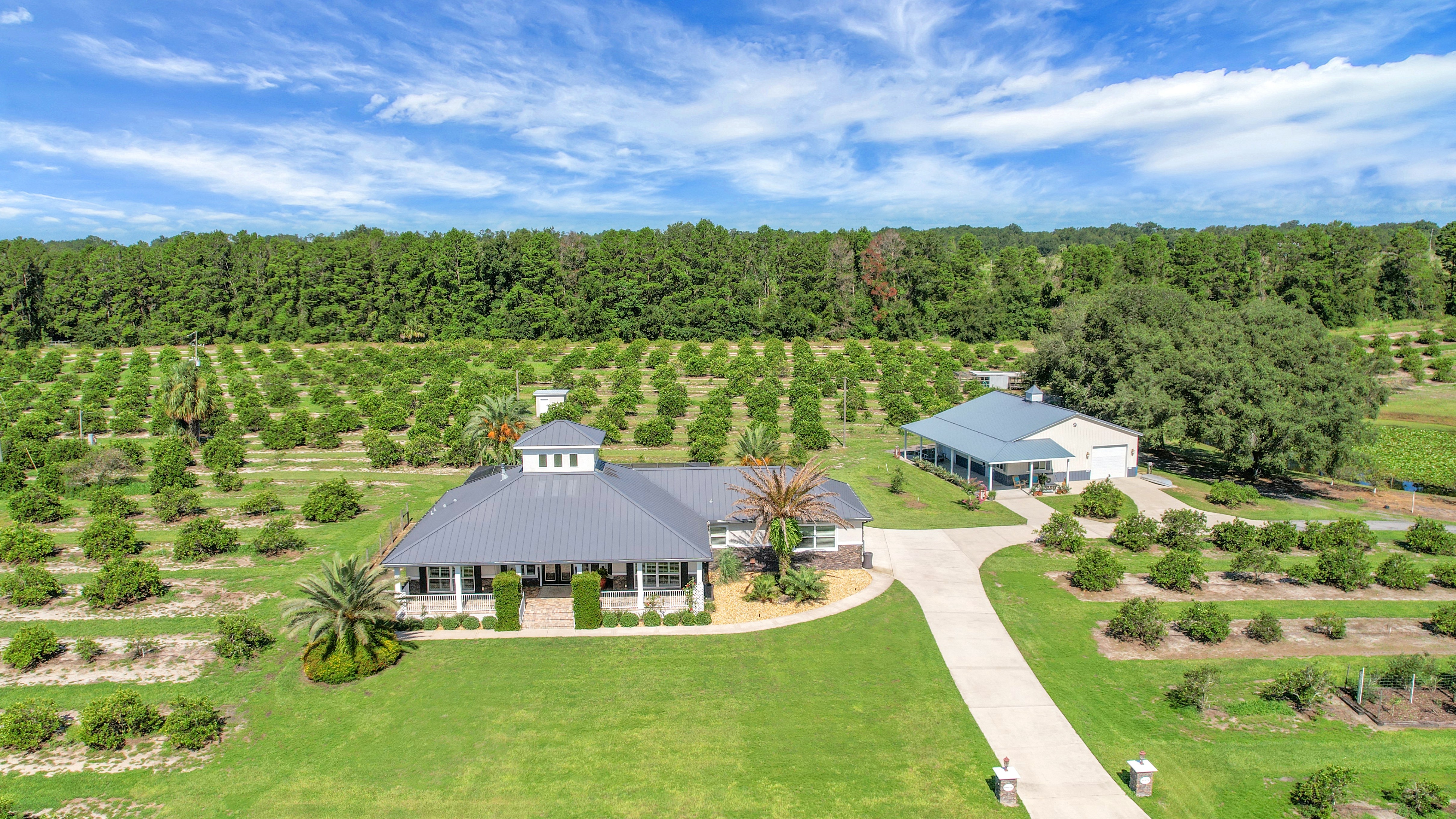 Weirsdale, Florida, 32195, United States, 4 Bedrooms Bedrooms, ,3 BathroomsBathrooms,Residential,For Sale,1900688