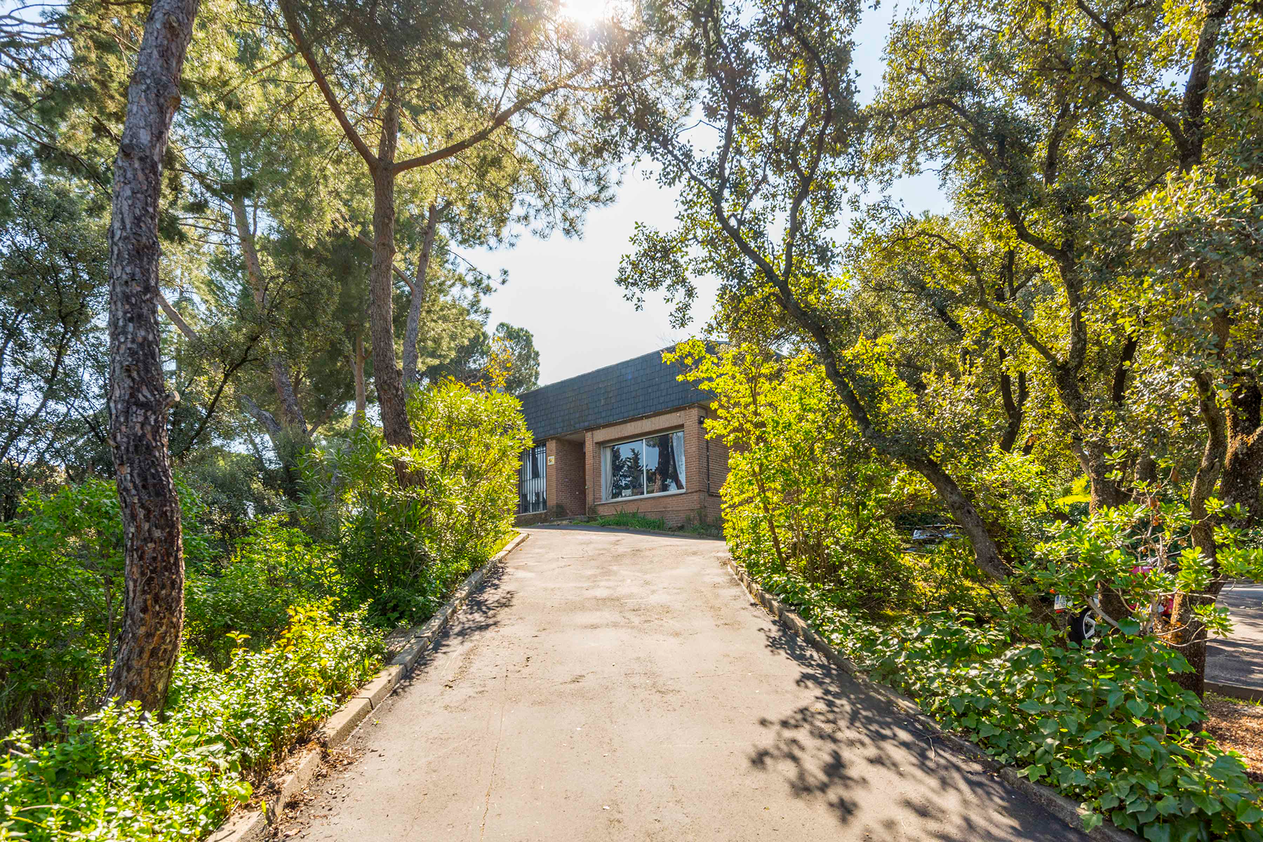  Wonderful hectare plot in La Moraleja - 物件實景