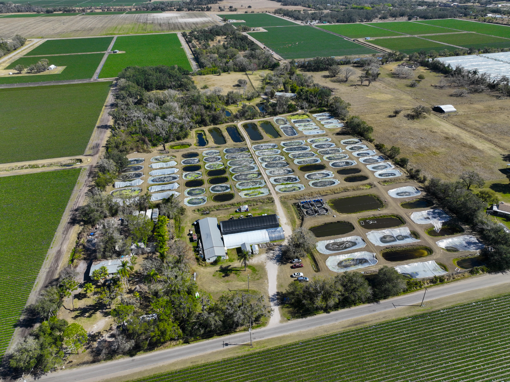 Wimauma, Florida, 33598, United States, 3 Bedrooms Bedrooms, ,2 BathroomsBathrooms,Residential,For Sale,2016610