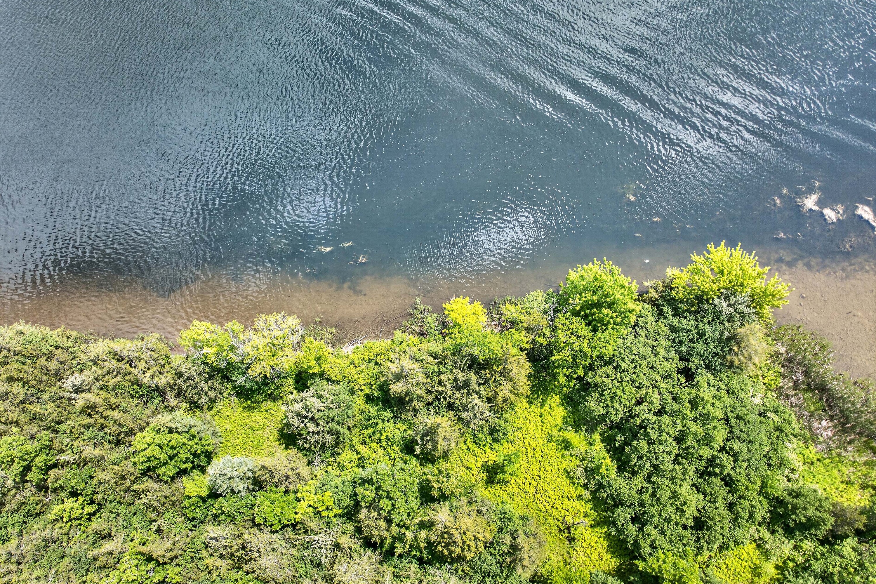  Trent Hills, Eastern Ontario - 物件實景