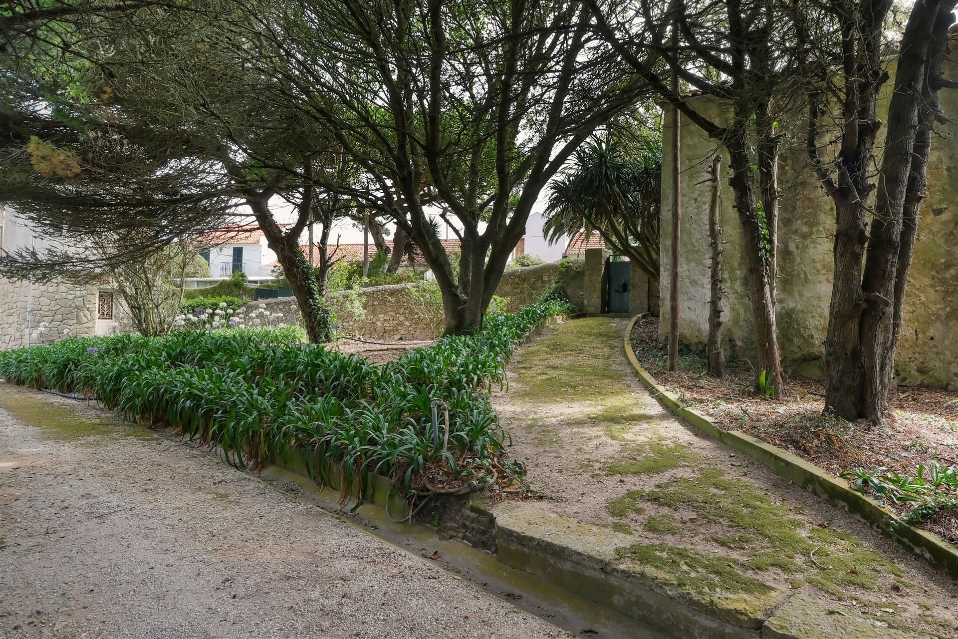  Terreno com ruina, 4 bedrooms, for Sale - 物件實景