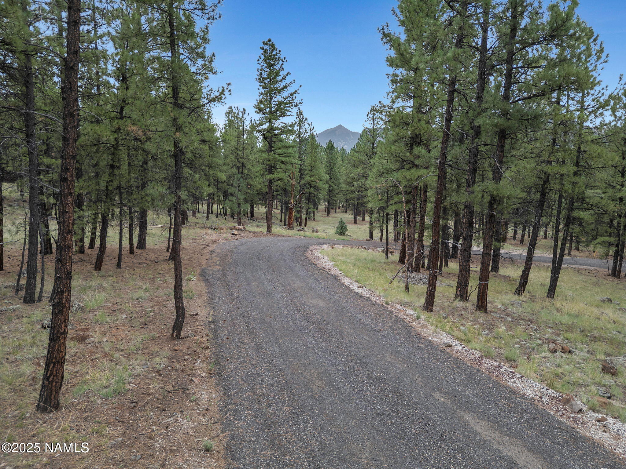 Flagstaff, Arizona, 86001, United States, ,Land,For Sale,1948051